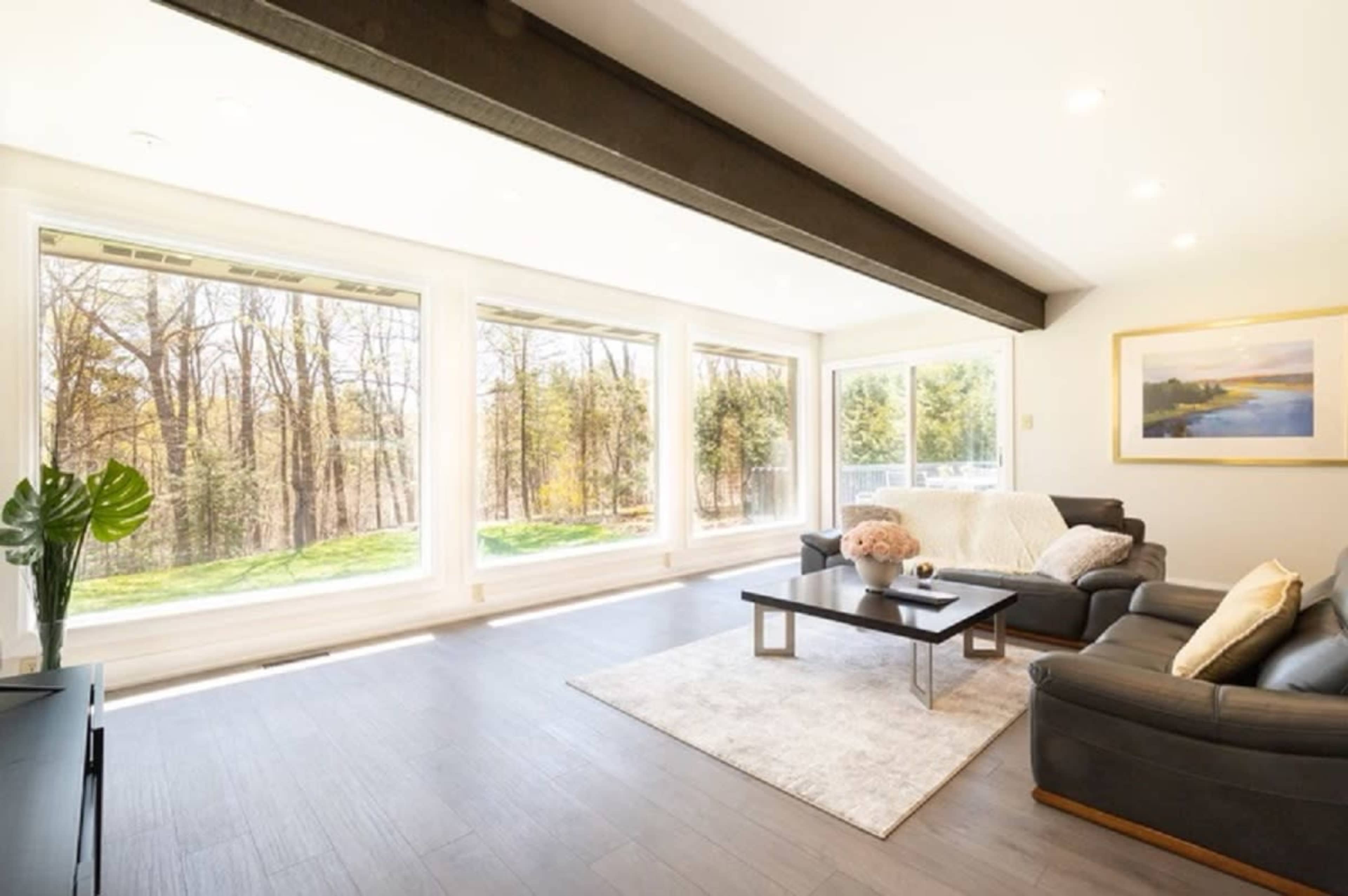 A bright living room with large windows overlooking a wooded area, featuring a dark couch, a light rug, and a coffee table in the center.