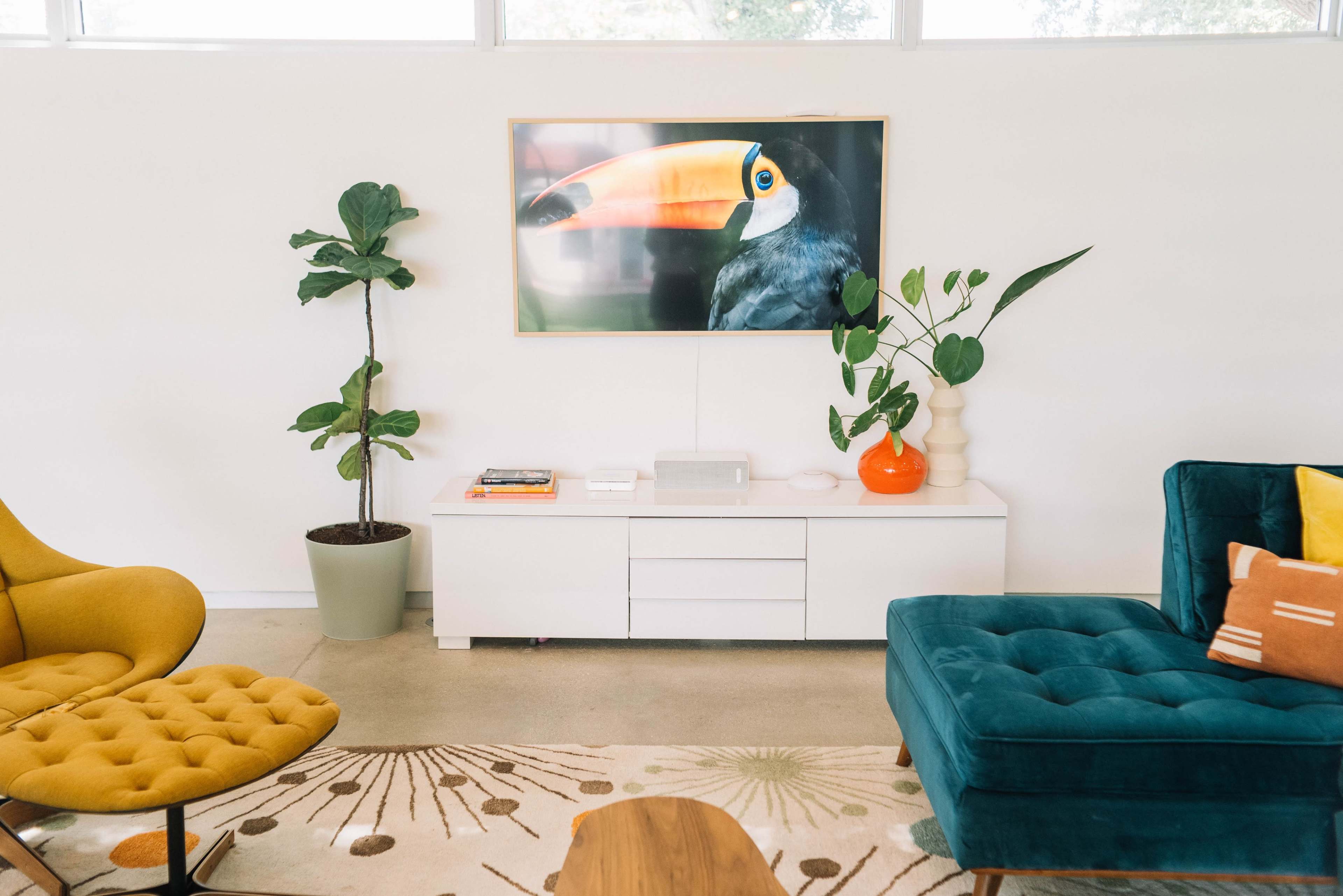 A modern living room with a yellow armchair, a teal sofa, a white media console holding a television displaying a toucan, and a decorative plant in a pot.