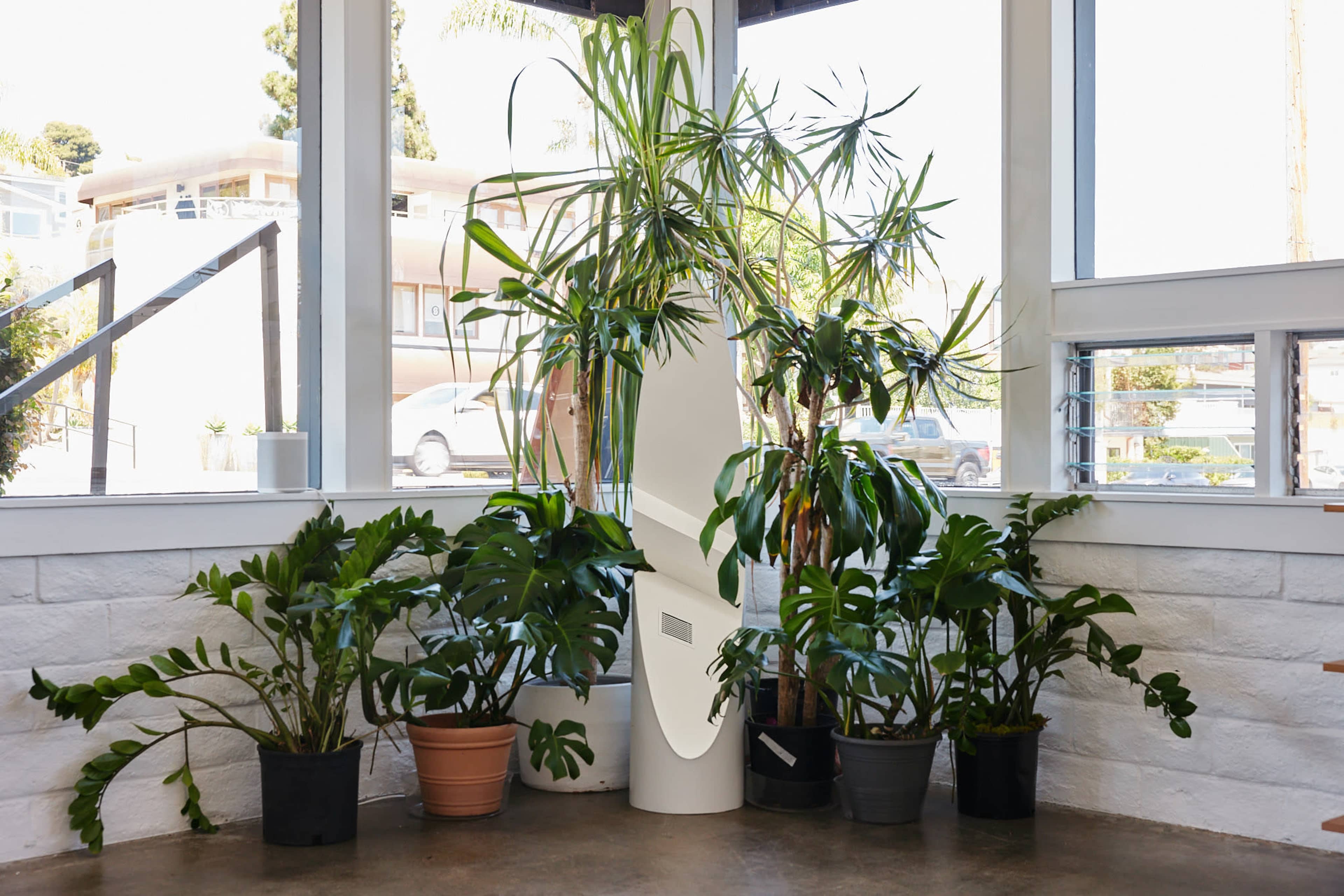 A tall, modern white planter stands among several potted plants in a bright indoor space with large windows.