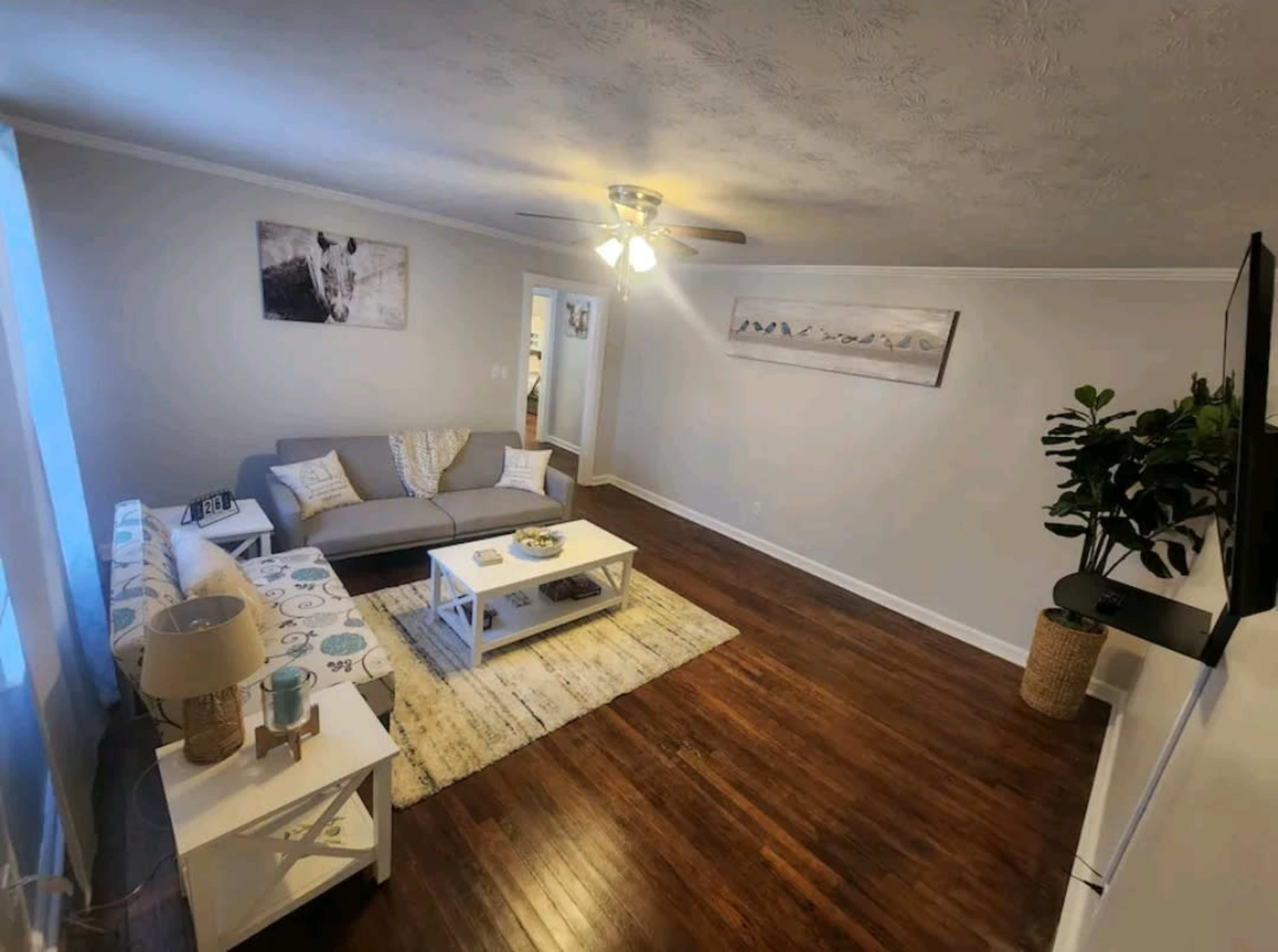 The living room features a gray sofa, a white coffee table, a large area rug, and a ceiling fan with lights, all set against light-colored walls and hardwood flooring.