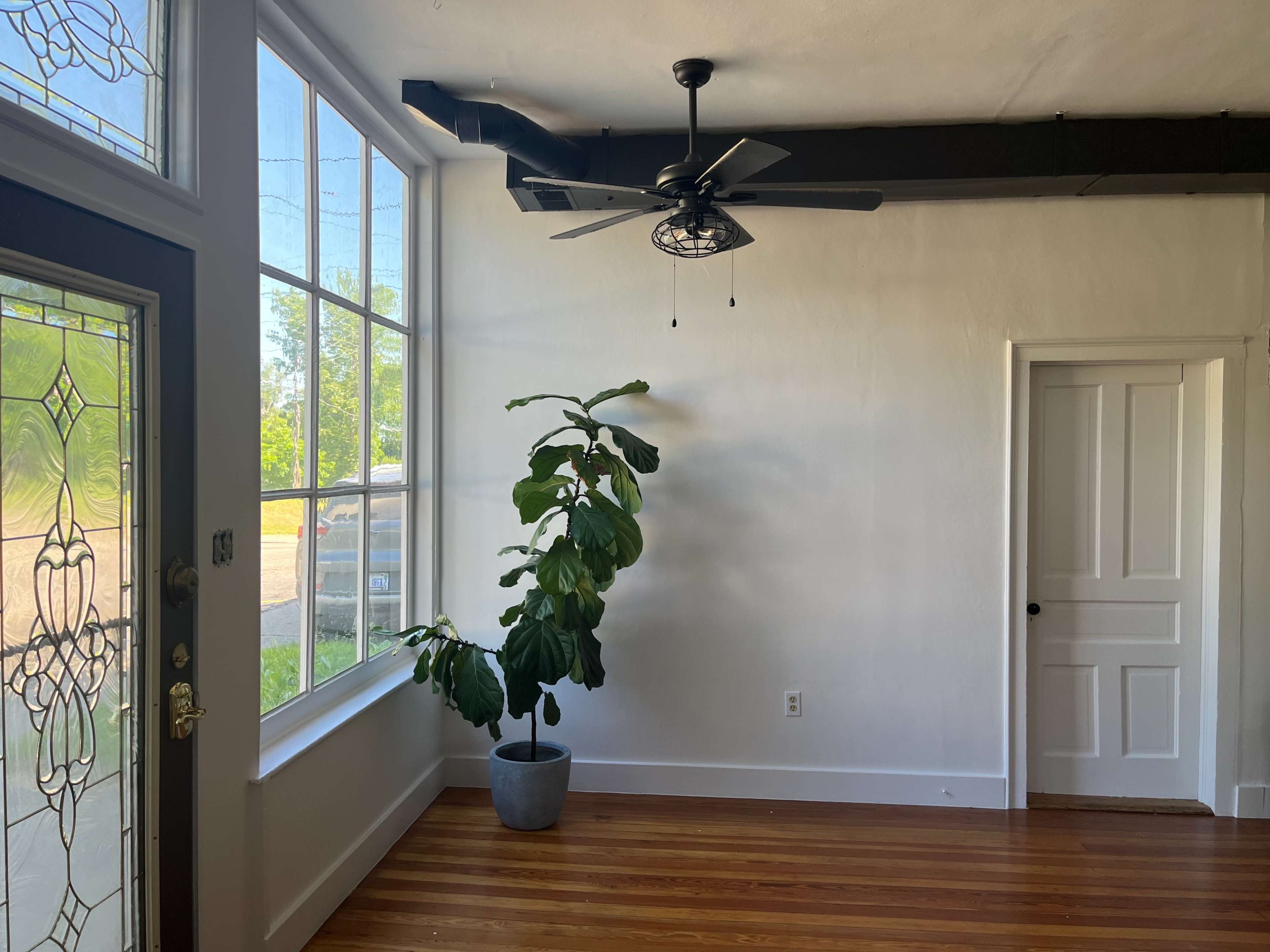 The image shows a bright interior space with large windows, a ceiling fan, a potted plant in the corner, and a closed door on one side.