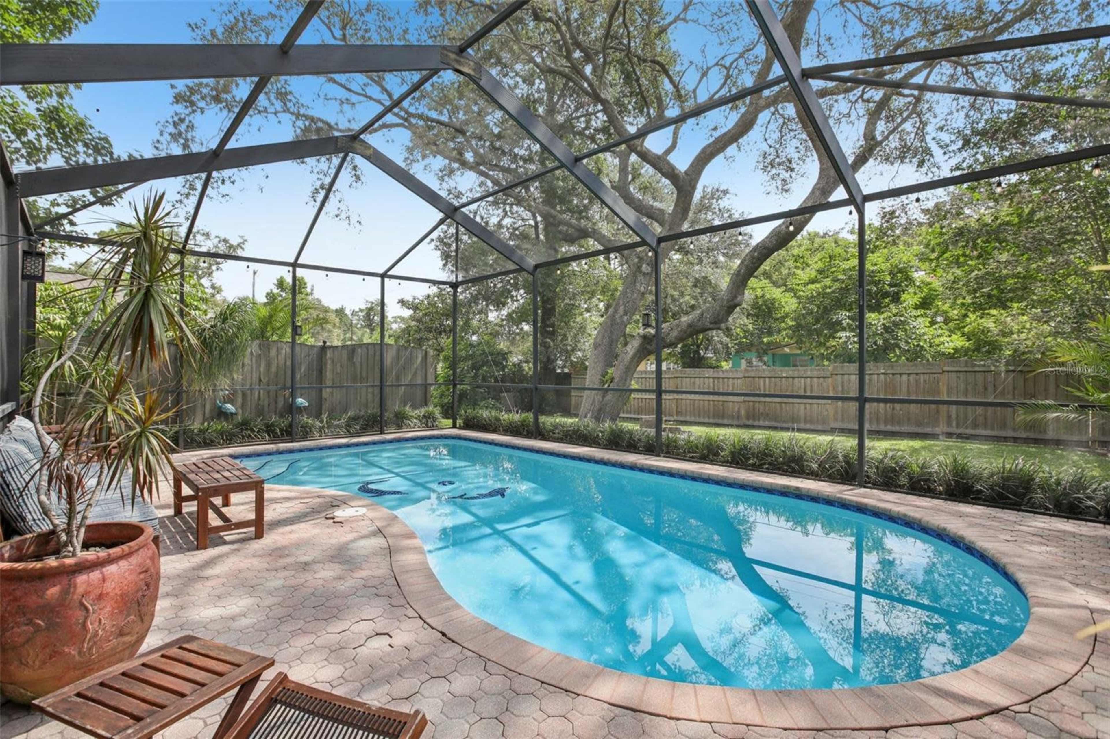 Private Garden Retreat with Pool Image in Northwest Tampa, tampa, FL