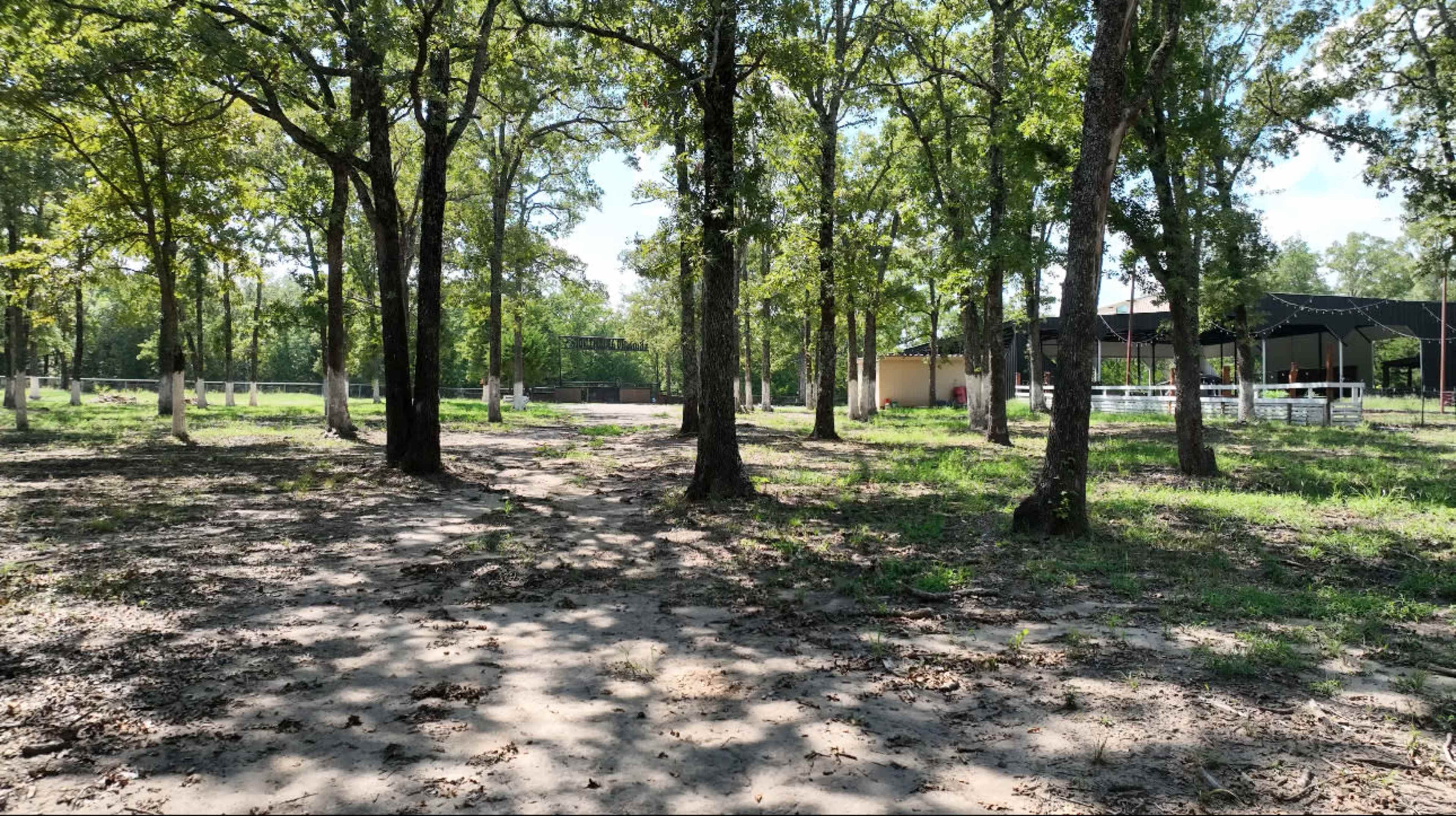 The image shows a wooded area with a dirt path leading toward a clearing that includes a covered structure and some fencing in the background.