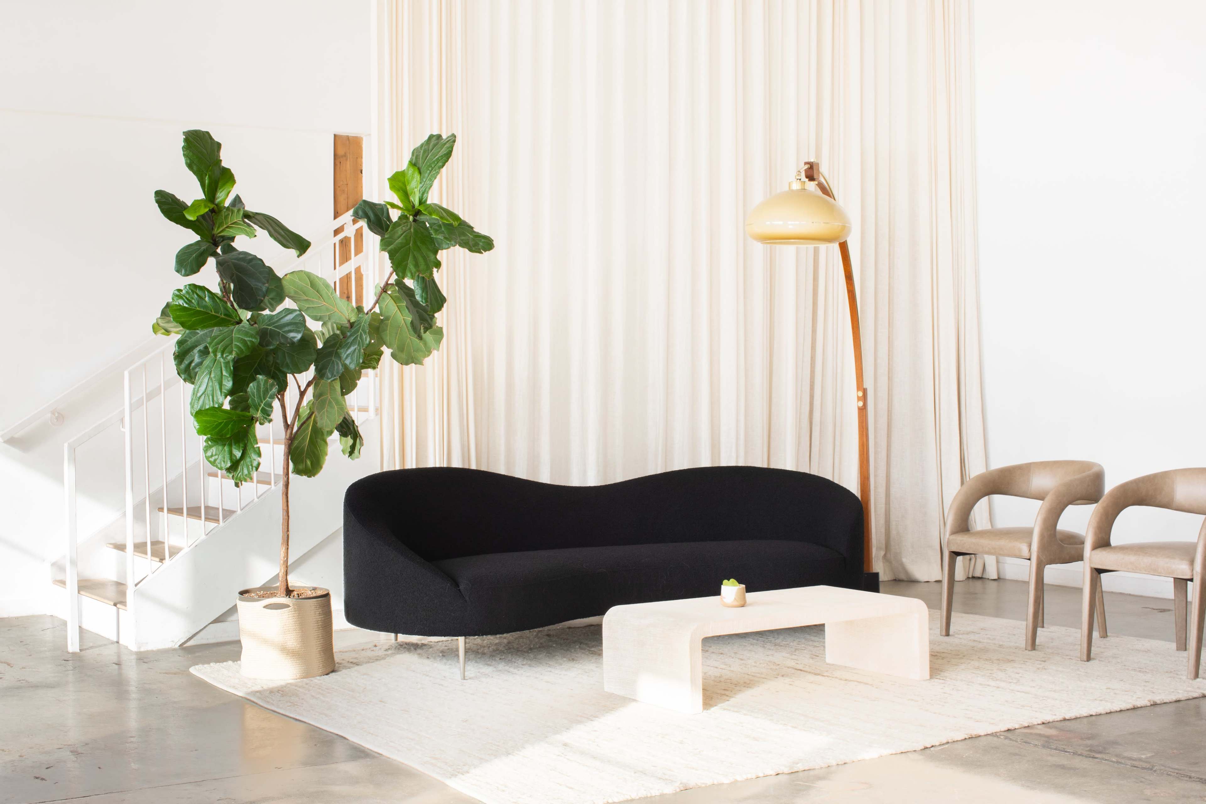 The image features a minimalist living space with a black curved sofa, a light-colored coffee table, two beige chairs, a large potted plant, and a floor lamp, set against a backdrop of white walls and curtains.