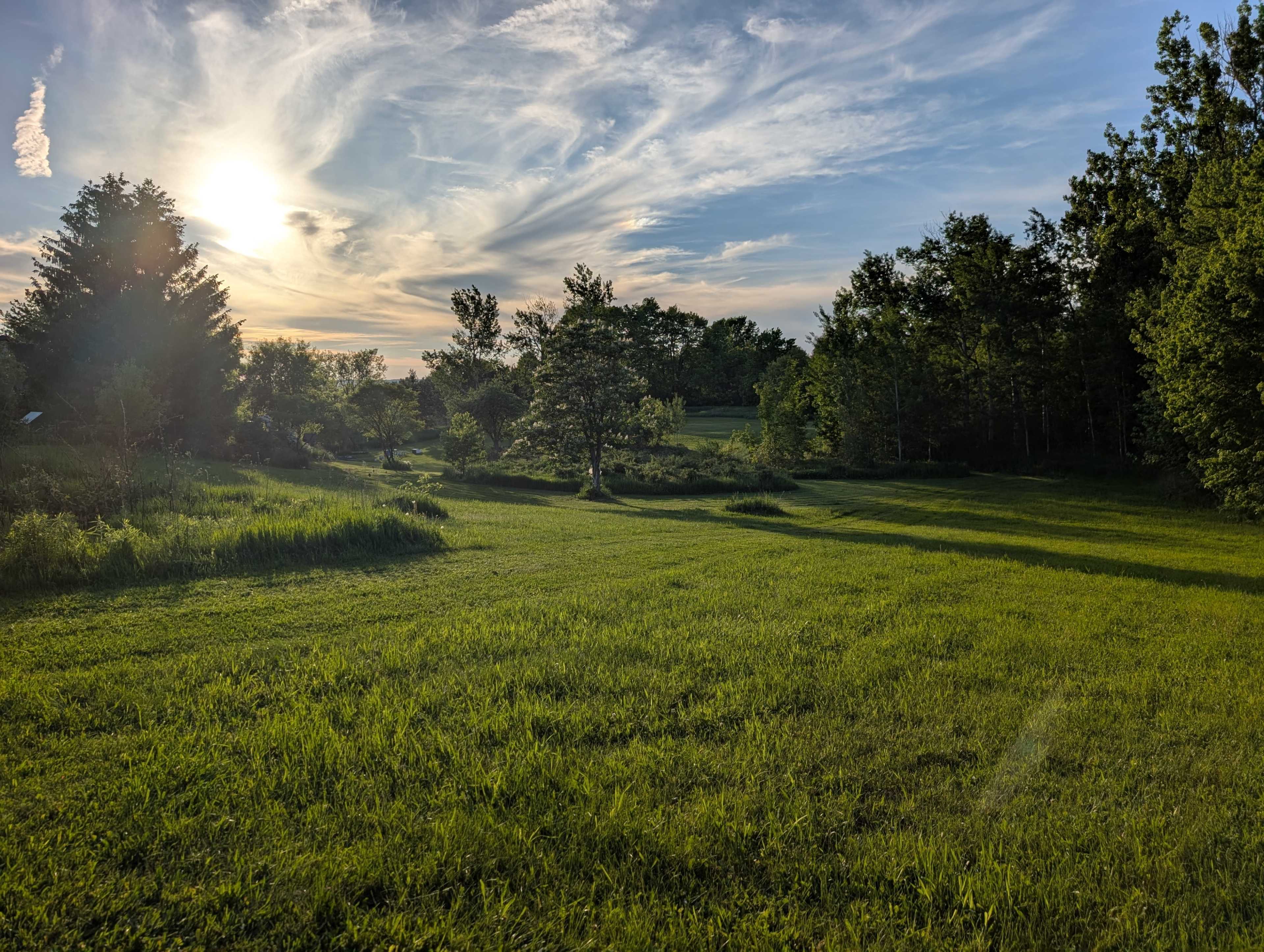 The image shows a grassy field bordered by trees, with a sun setting in the sky and wispy clouds.