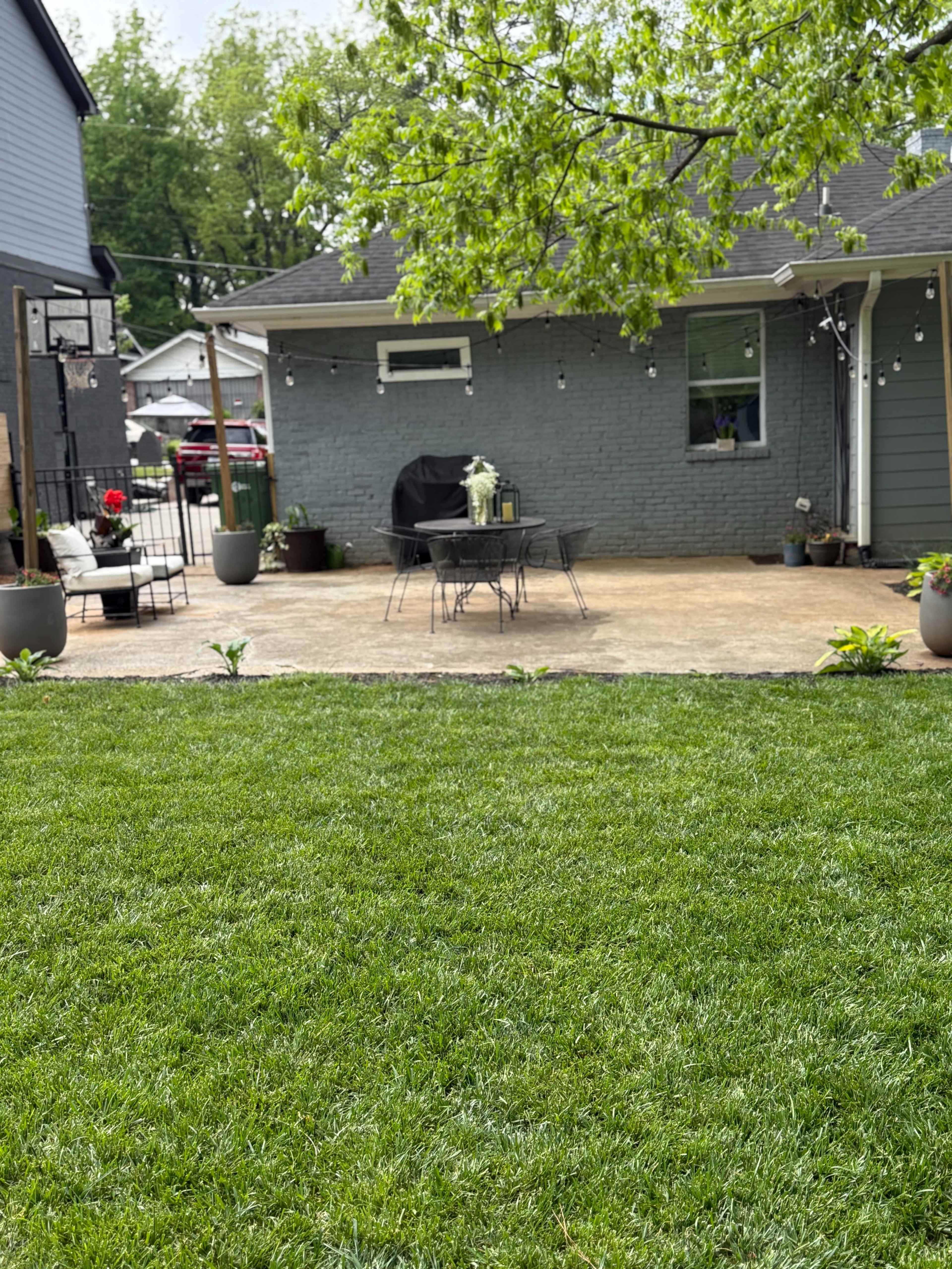 Urban Southwest Atlanta Oasis Image in Westview, Atlanta, GA