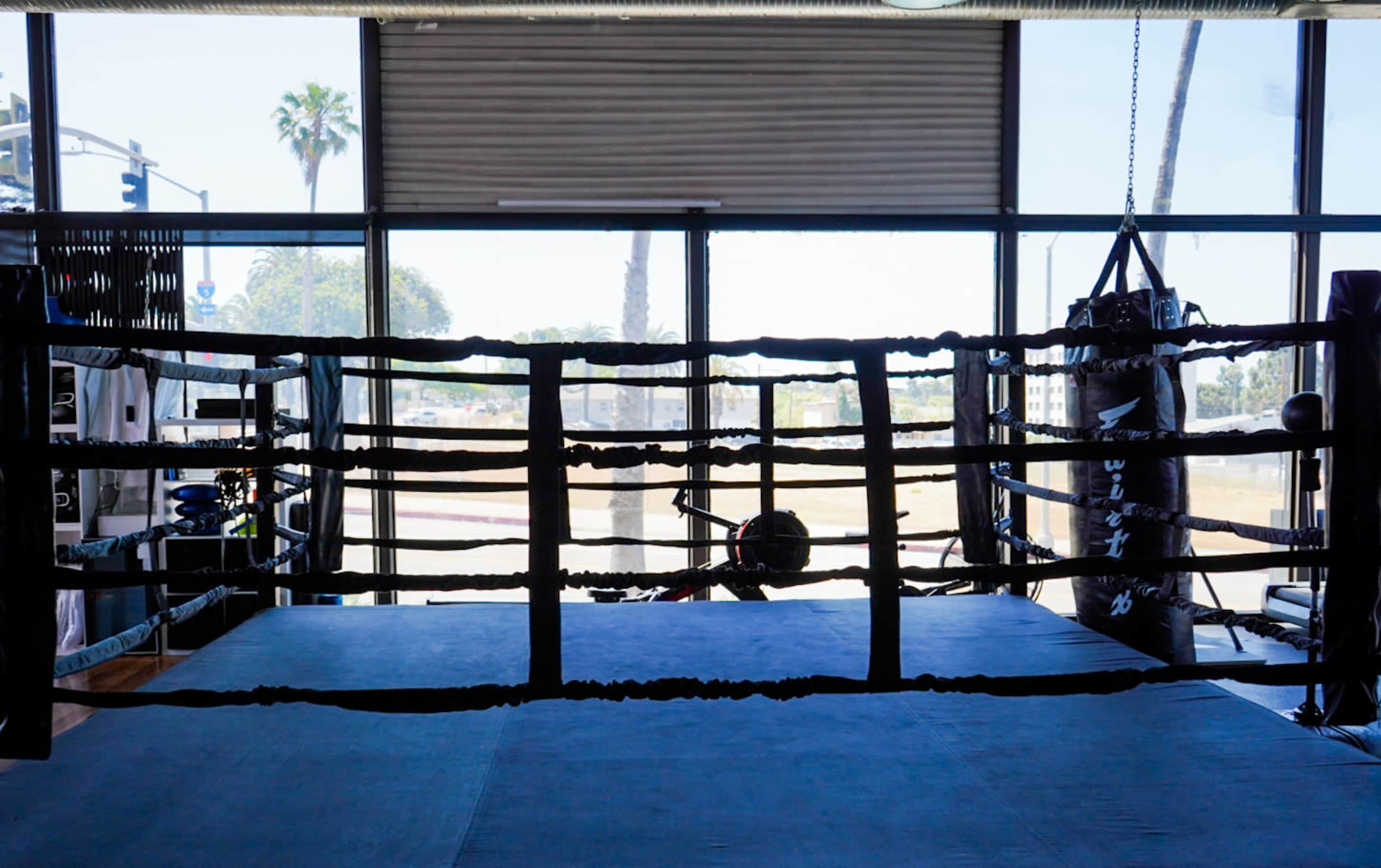 A boxing ring with a blue mat and black ropes, situated in a gym with large windows overlooking a street and palm trees.