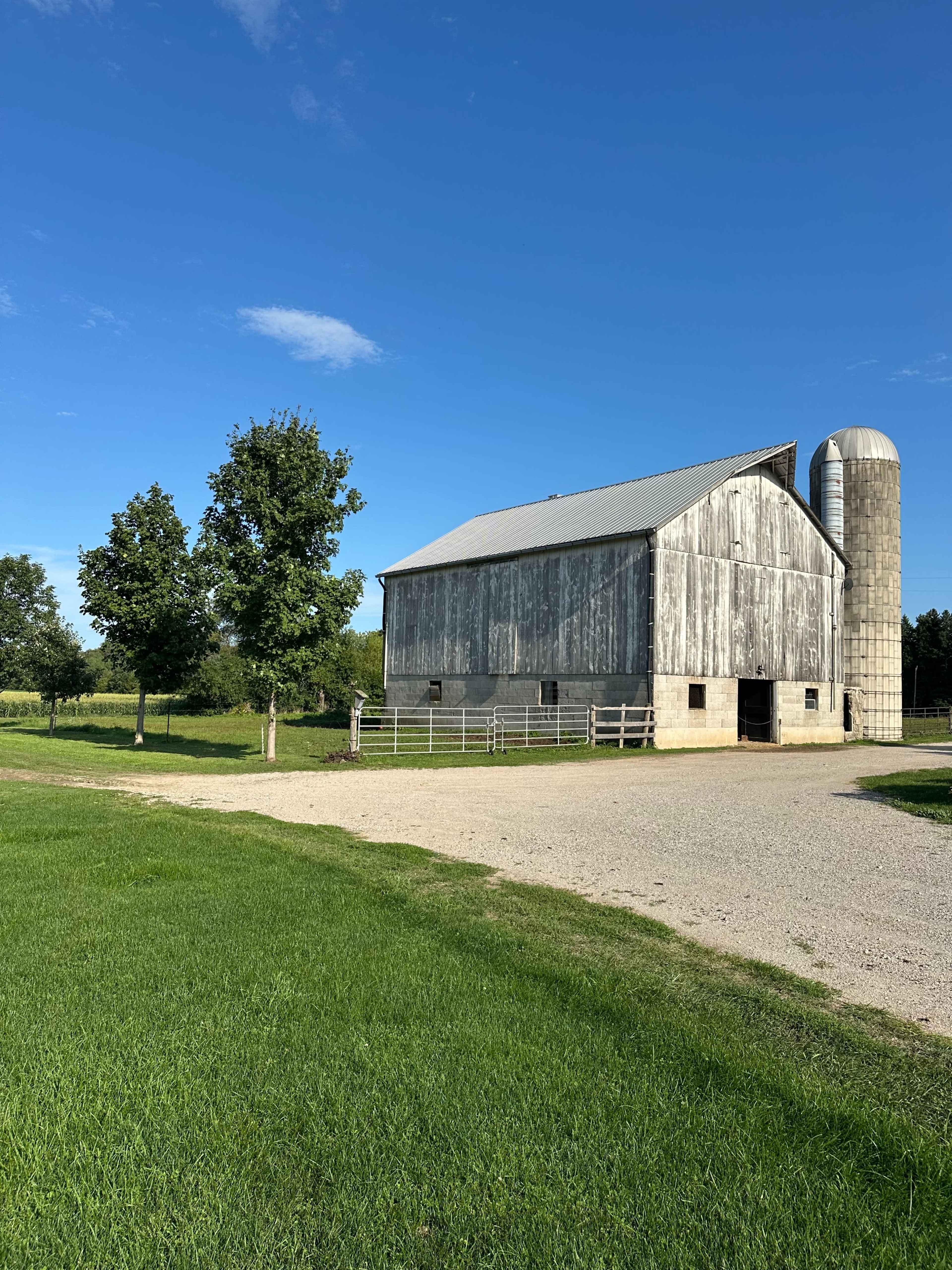 A weathered barn stands beside a gravel path, with a cylindrical silo and green trees in the background under a clear blue sky.