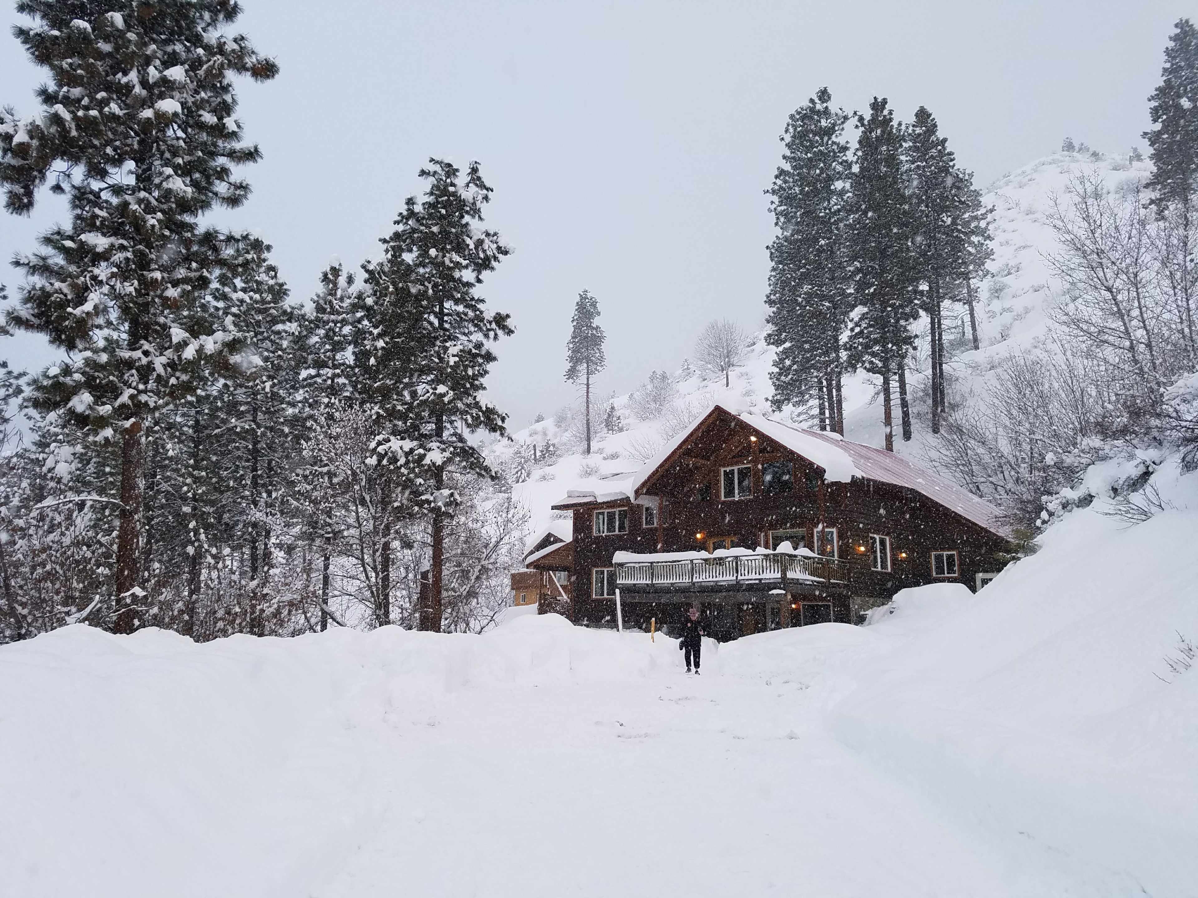 A large, wooden house is surrounded by tall pine trees and heavy snowfall, with a snowy path leading up to its entrance.