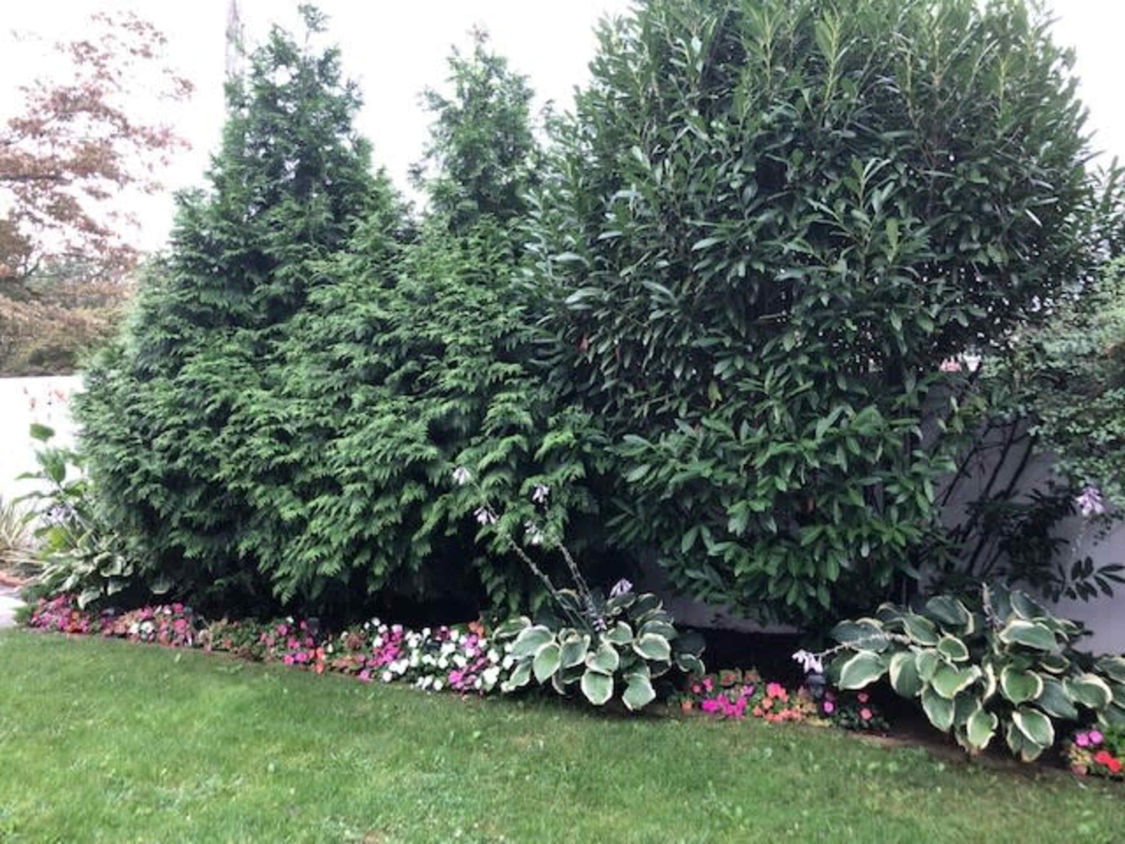 The image shows a landscaped garden featuring tall evergreen trees, lush shrubs, and a flowerbed with various colorful plants along a grassy area.