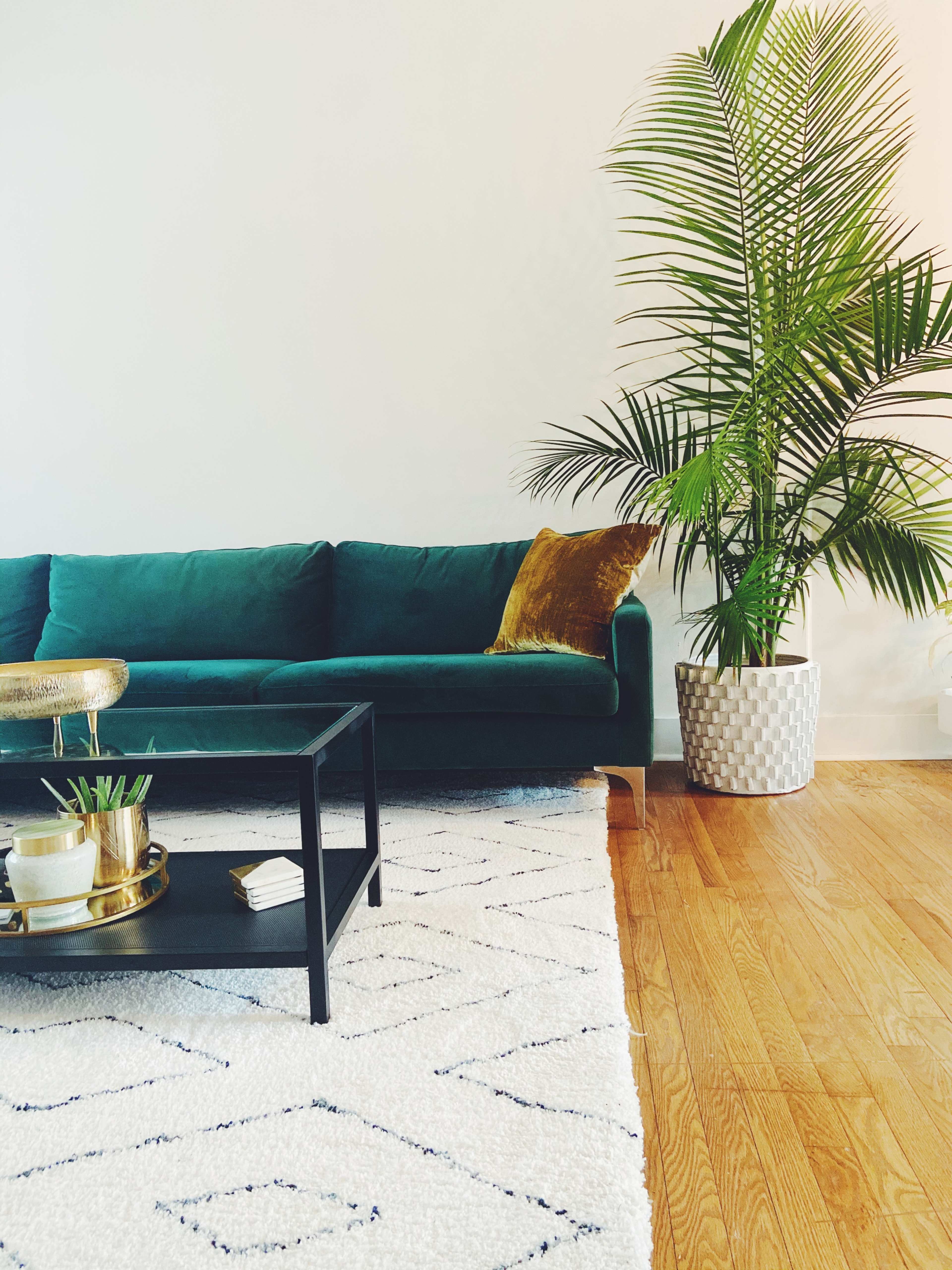 A green velvet sofa sits next to a potted palm tree on a hardwood floor, with a coffee table displaying decorative items and a textured rug underneath.