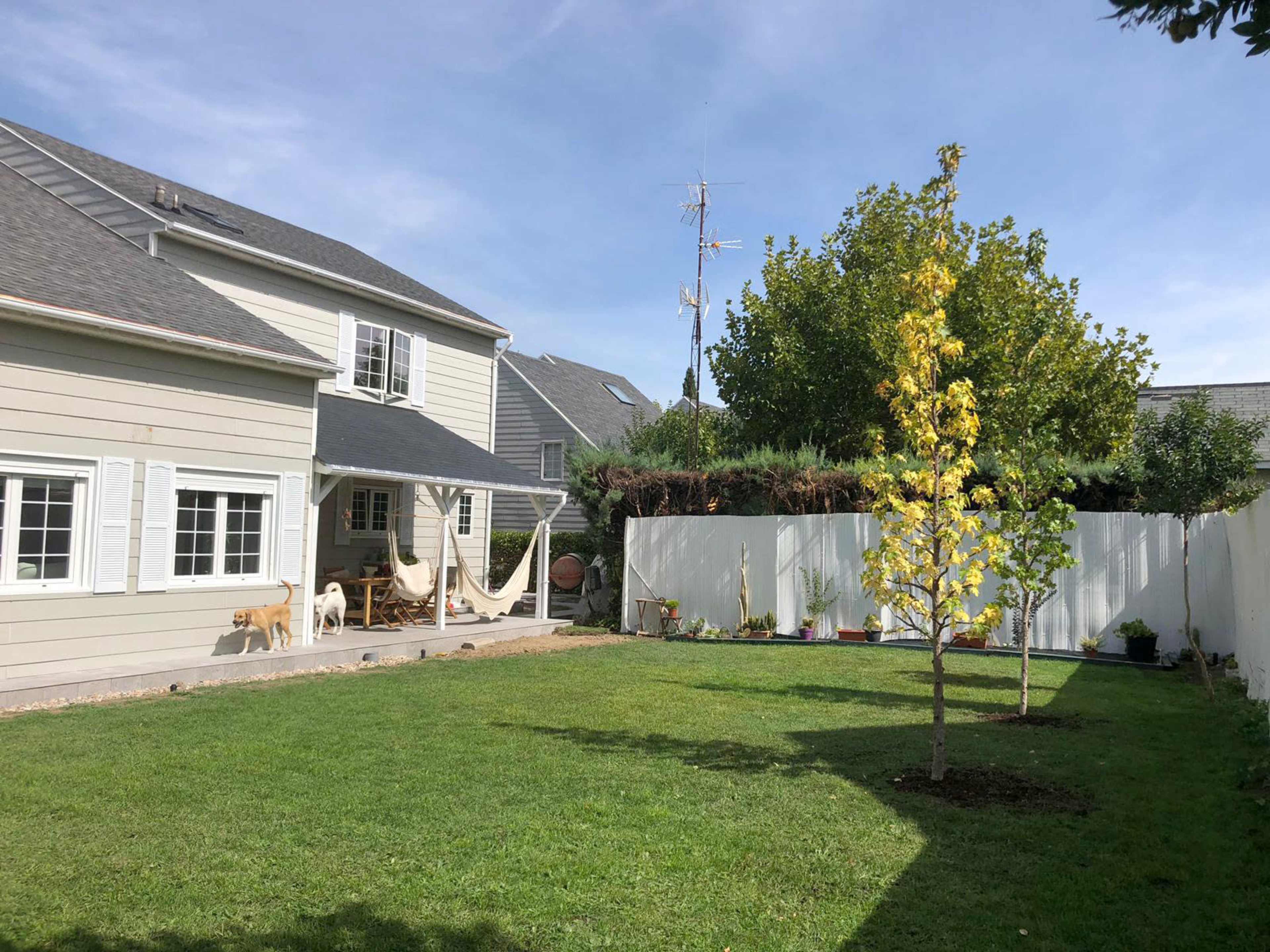 The image shows a backyard with a neatly landscaped lawn, a small tree, and a house with a deck area featuring a hammock and two dogs.