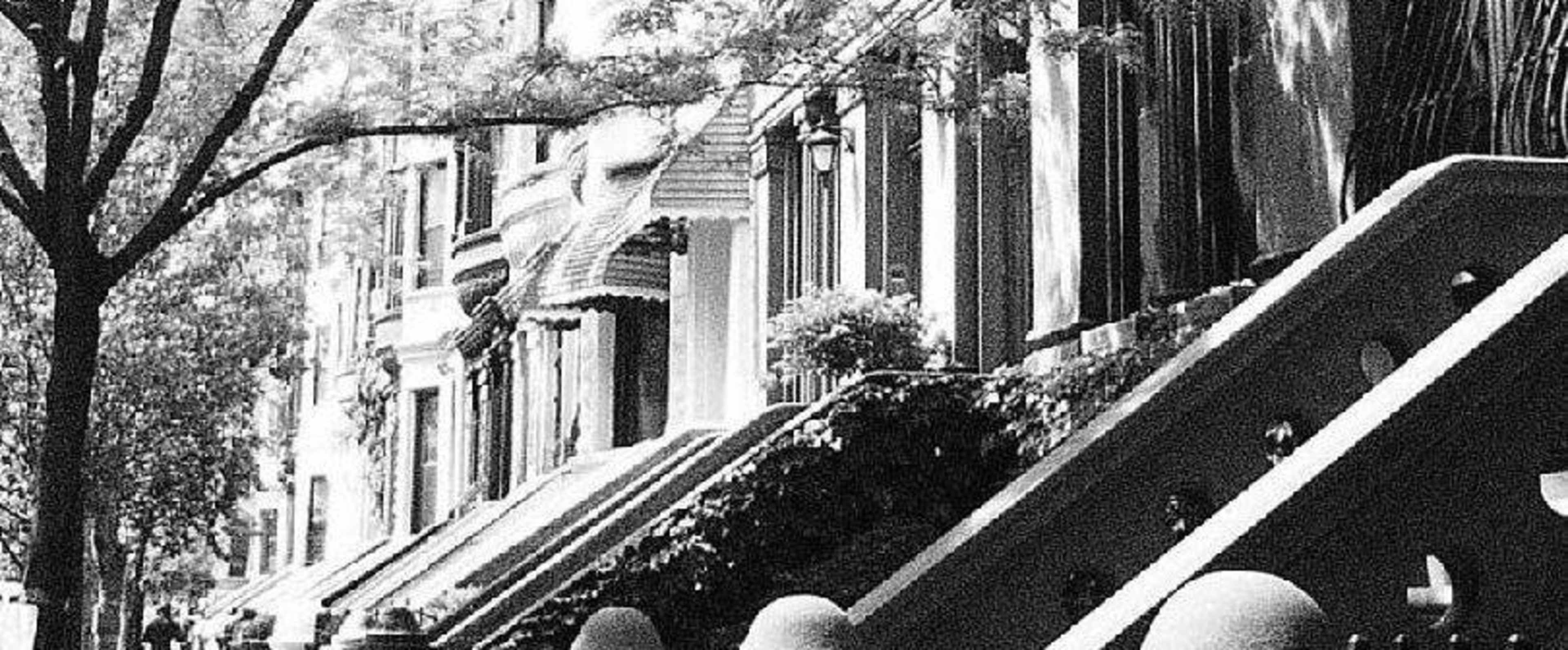 The image shows a row of historic brownstone buildings with stoops, framed by trees.