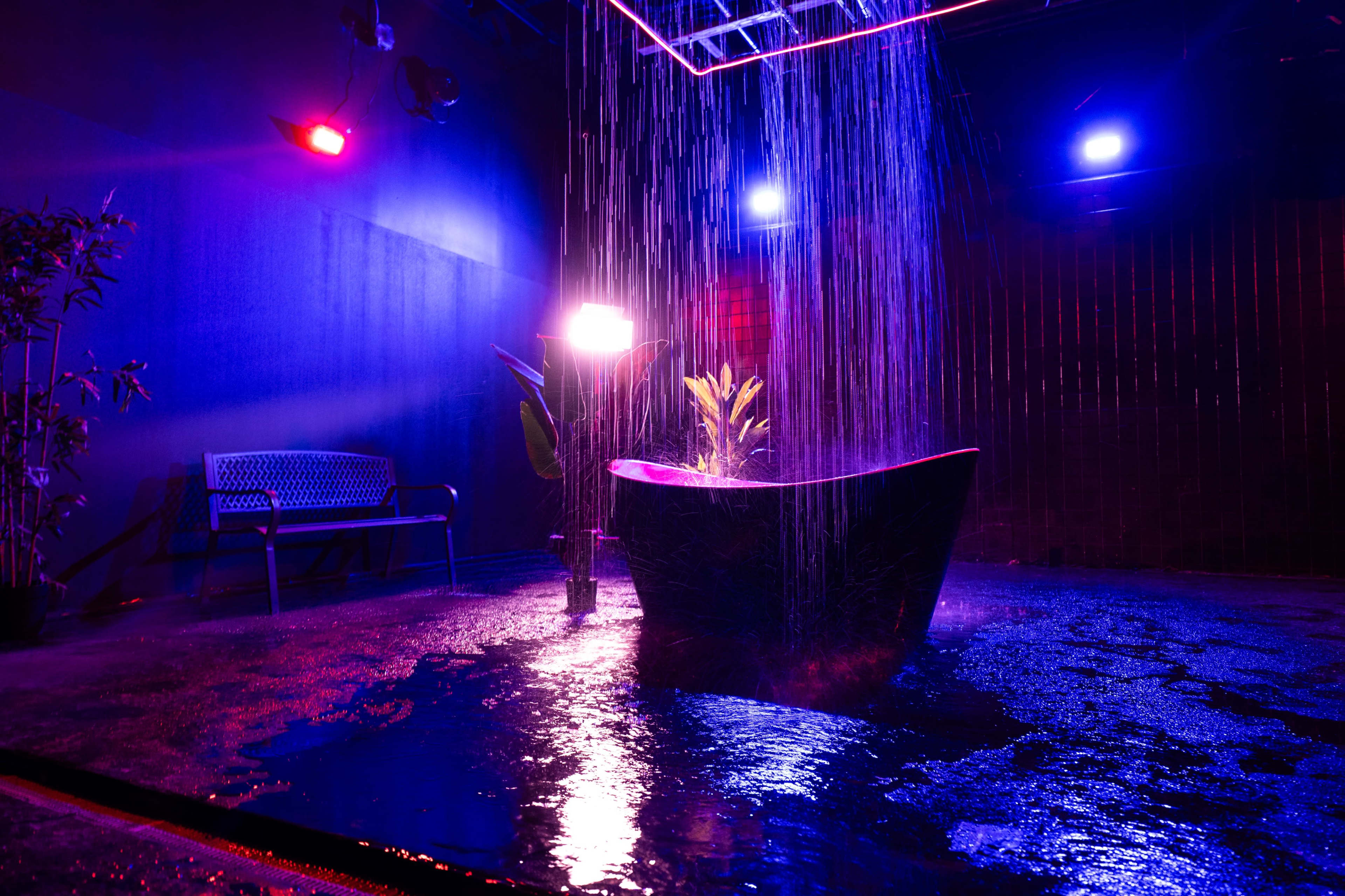 The famous Rain room features several different rain options and pre-installed RGB lights. Image in East Williamsburg, Brooklyn, NY