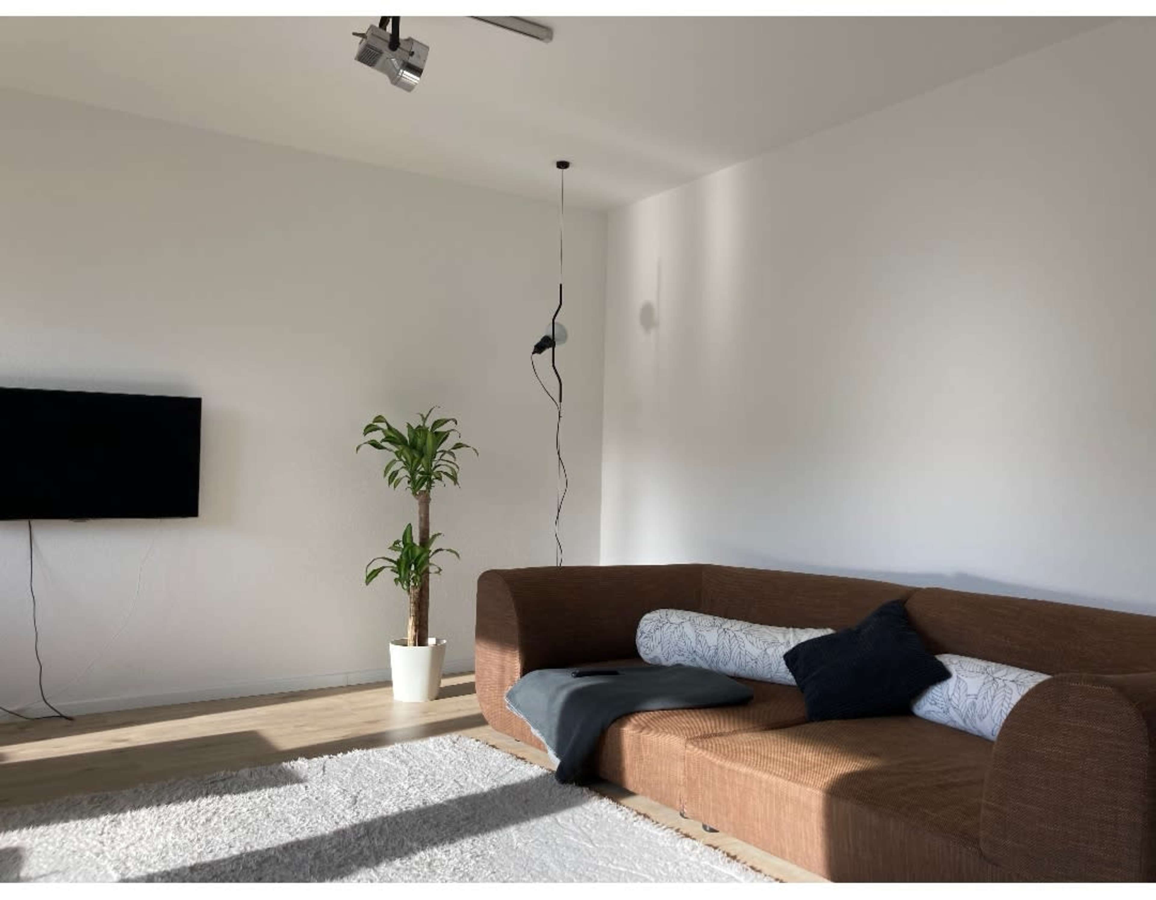 A modern living room with a brown sofa, a potted plant, a black floor lamp, and a television mounted on a white wall.