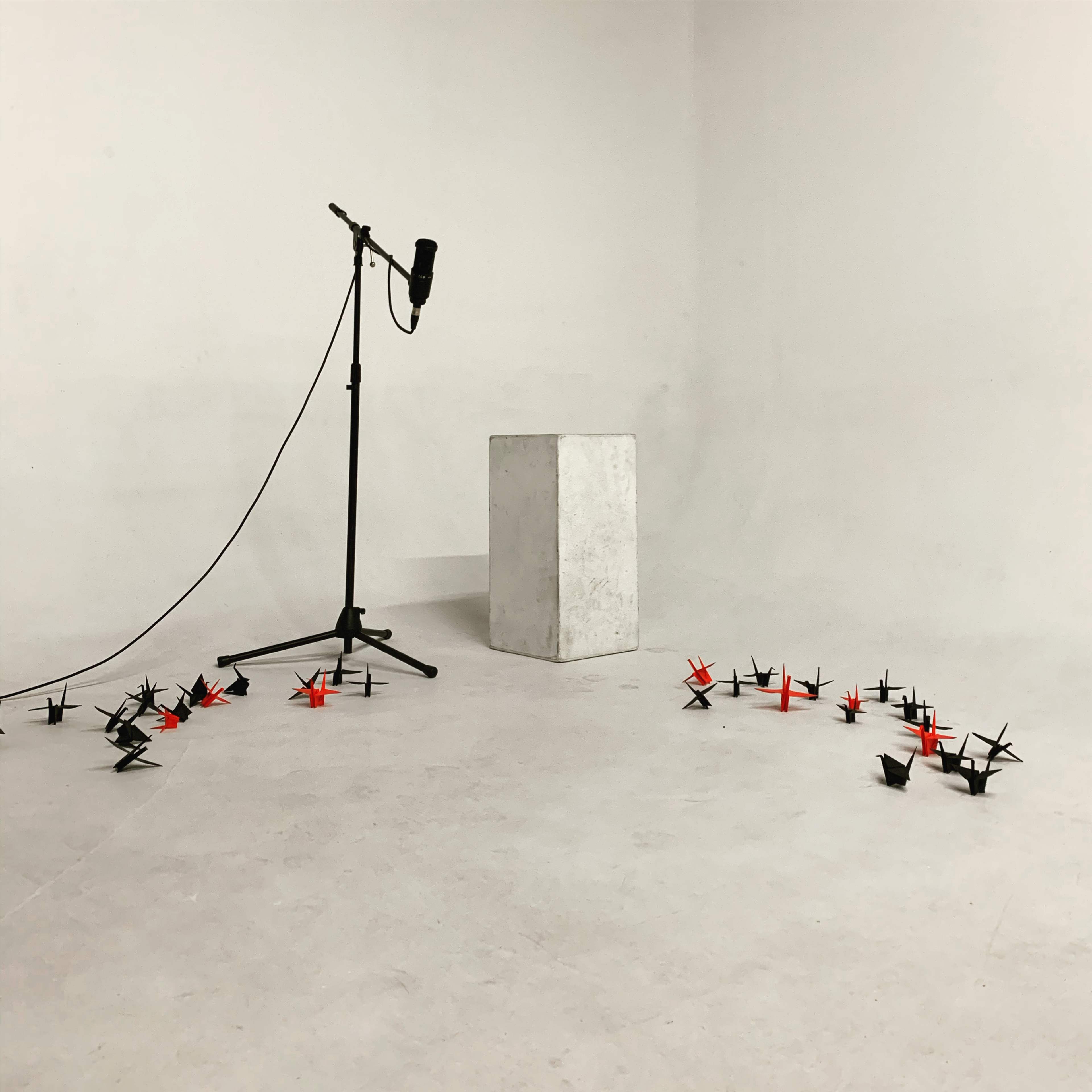 Video shoot
