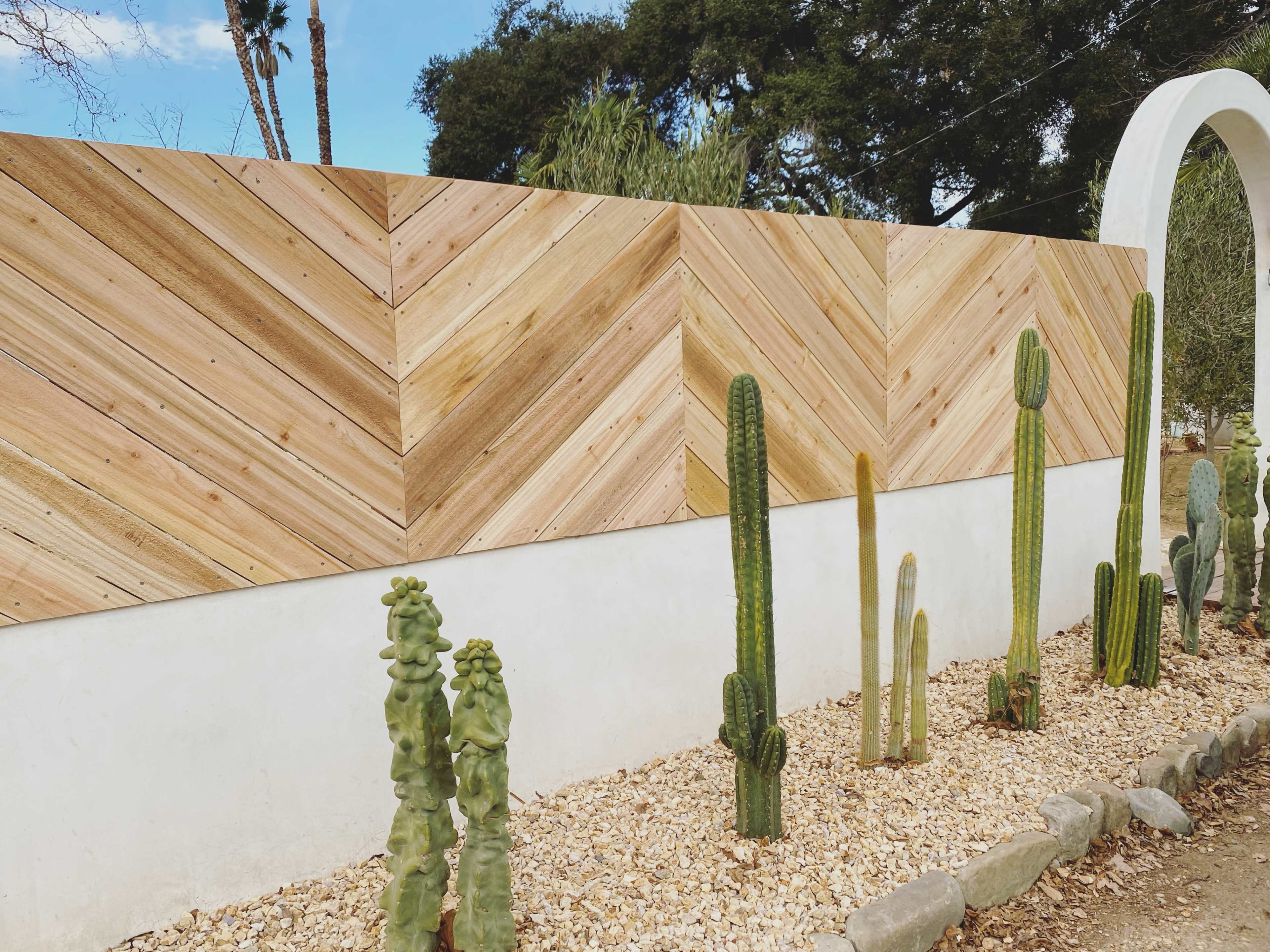 A wooden chevron-patterned fence stands against a white wall, surrounded by various tall cacti and a gravel path.