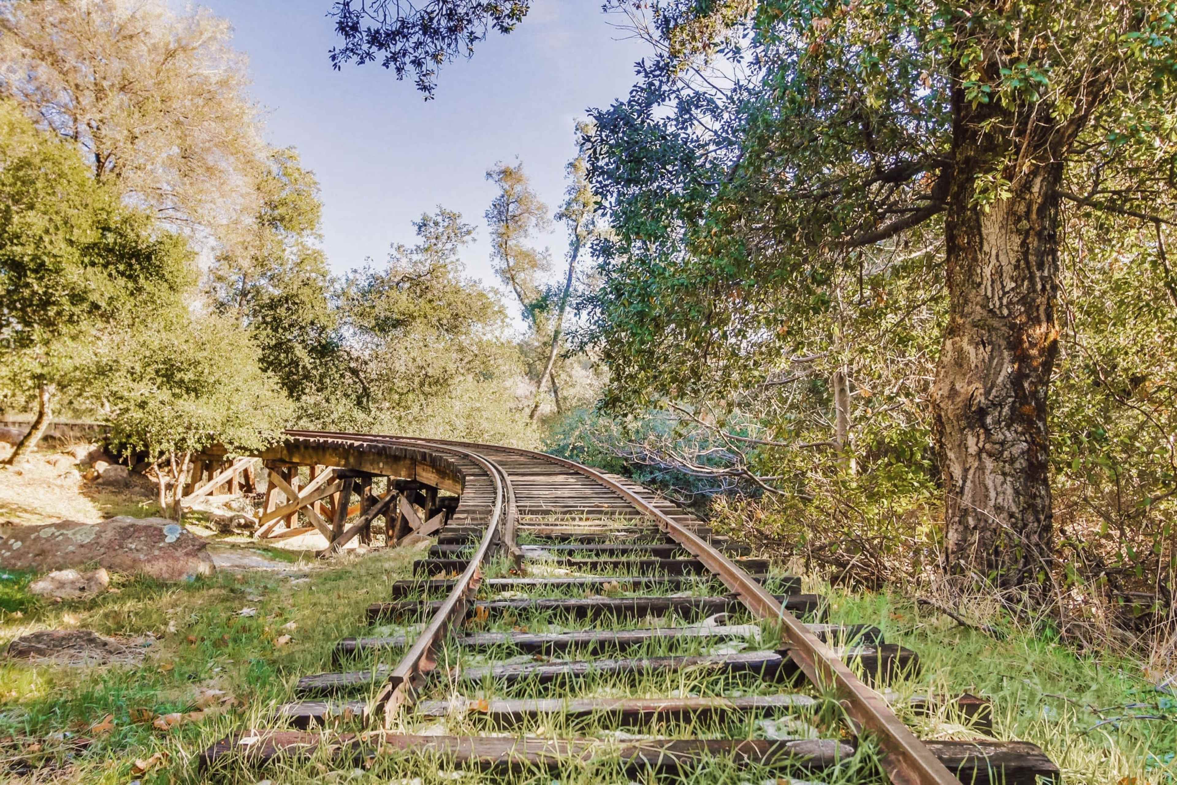 The image shows a winding set of railway tracks surrounded by trees and brush in a natural landscape.