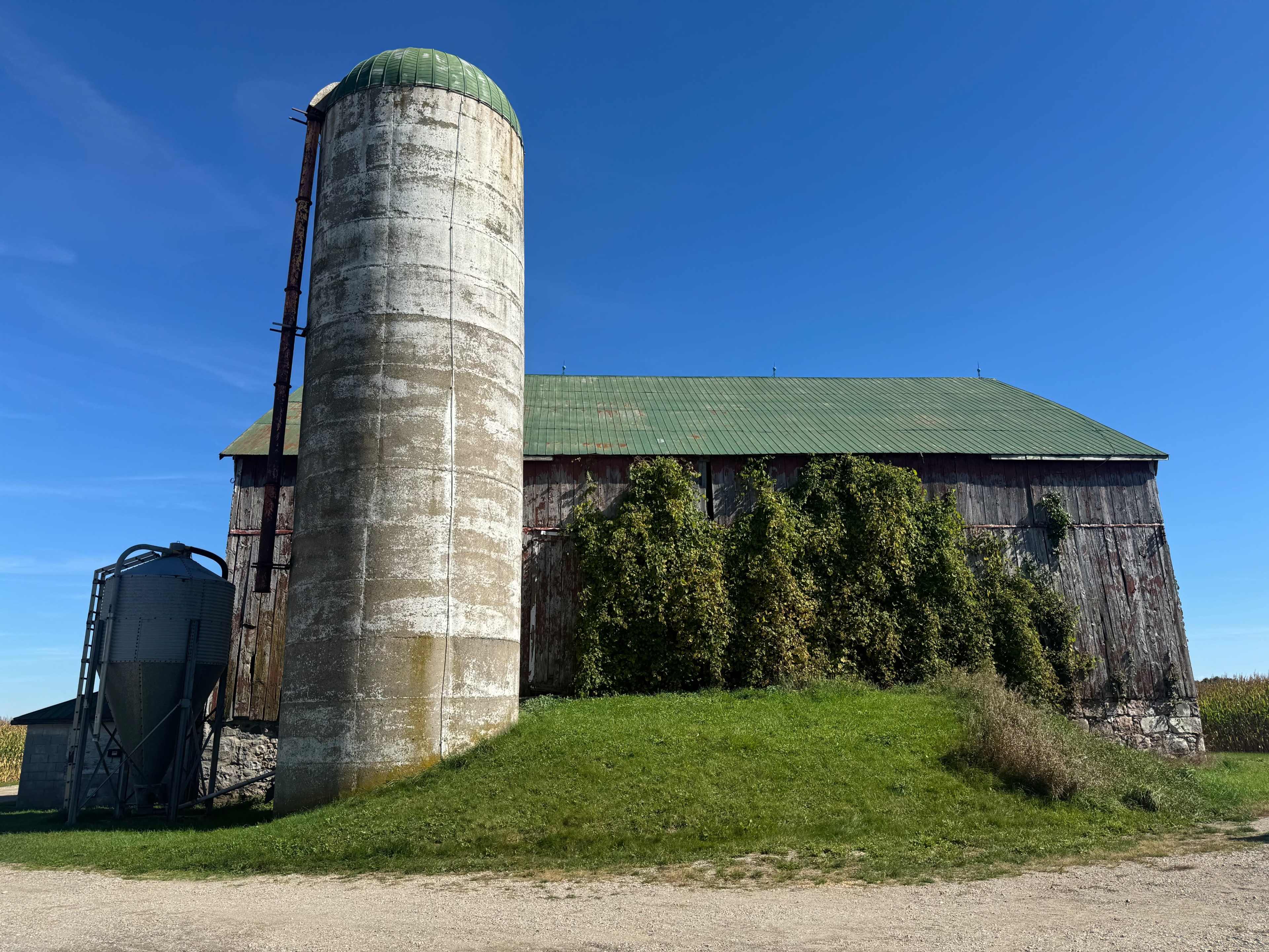 A weathered barn with a green metal roof and a concrete silo stands on a grassy hillside under a clear blue sky.