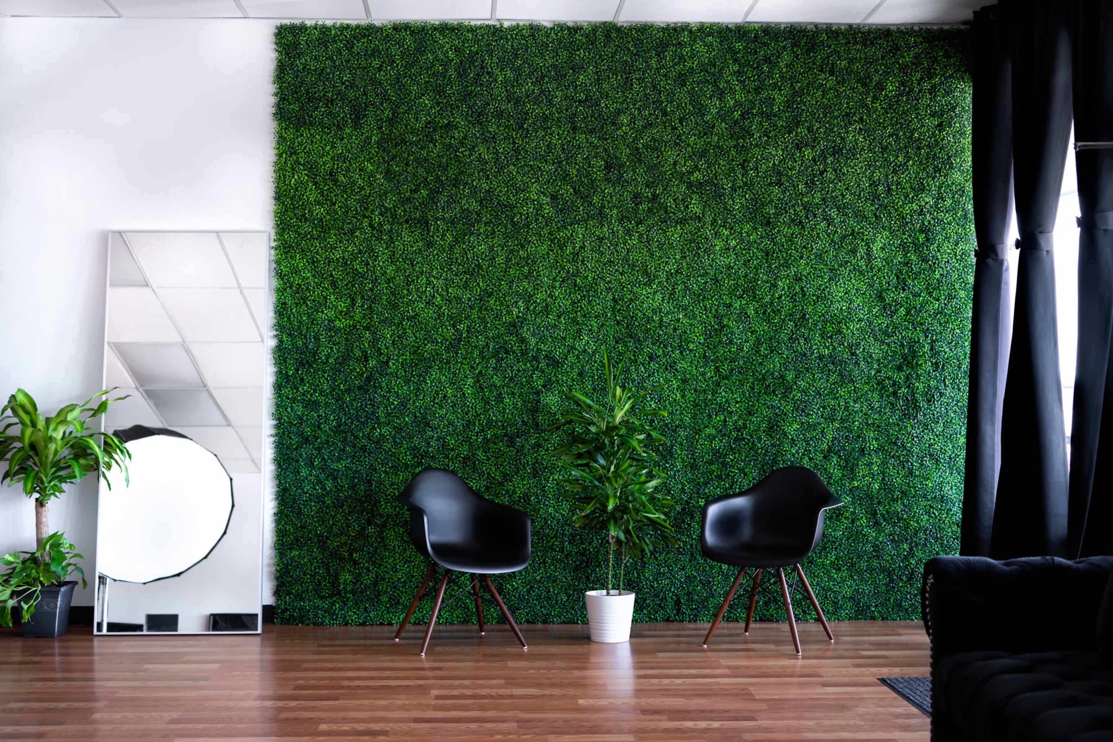 A modern interior with a green plant wall, two black chairs, a potted plant, and a mirror.