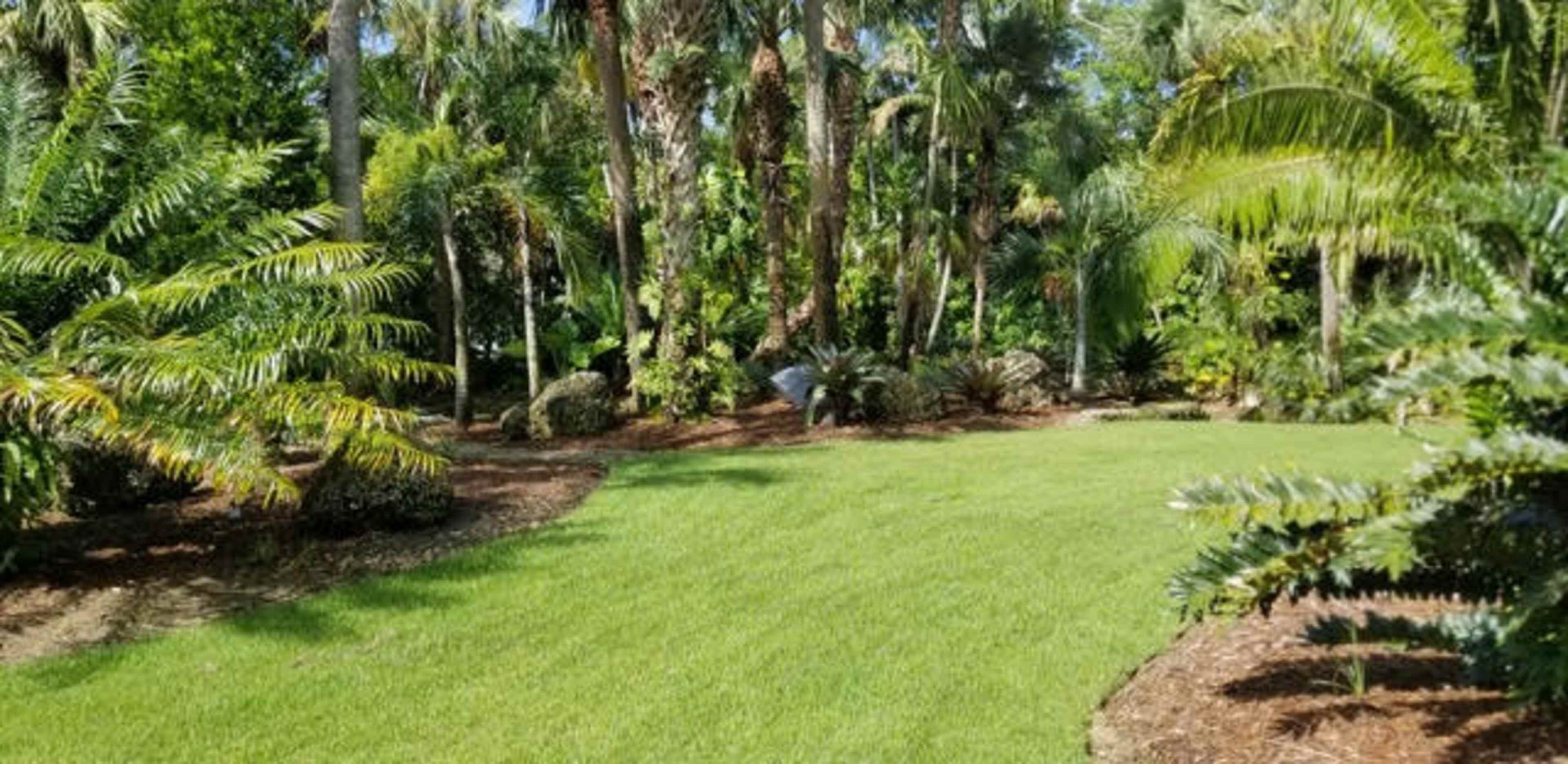 A landscaped garden with lush greenery, including palm trees and shrubs, set on a grassy area.