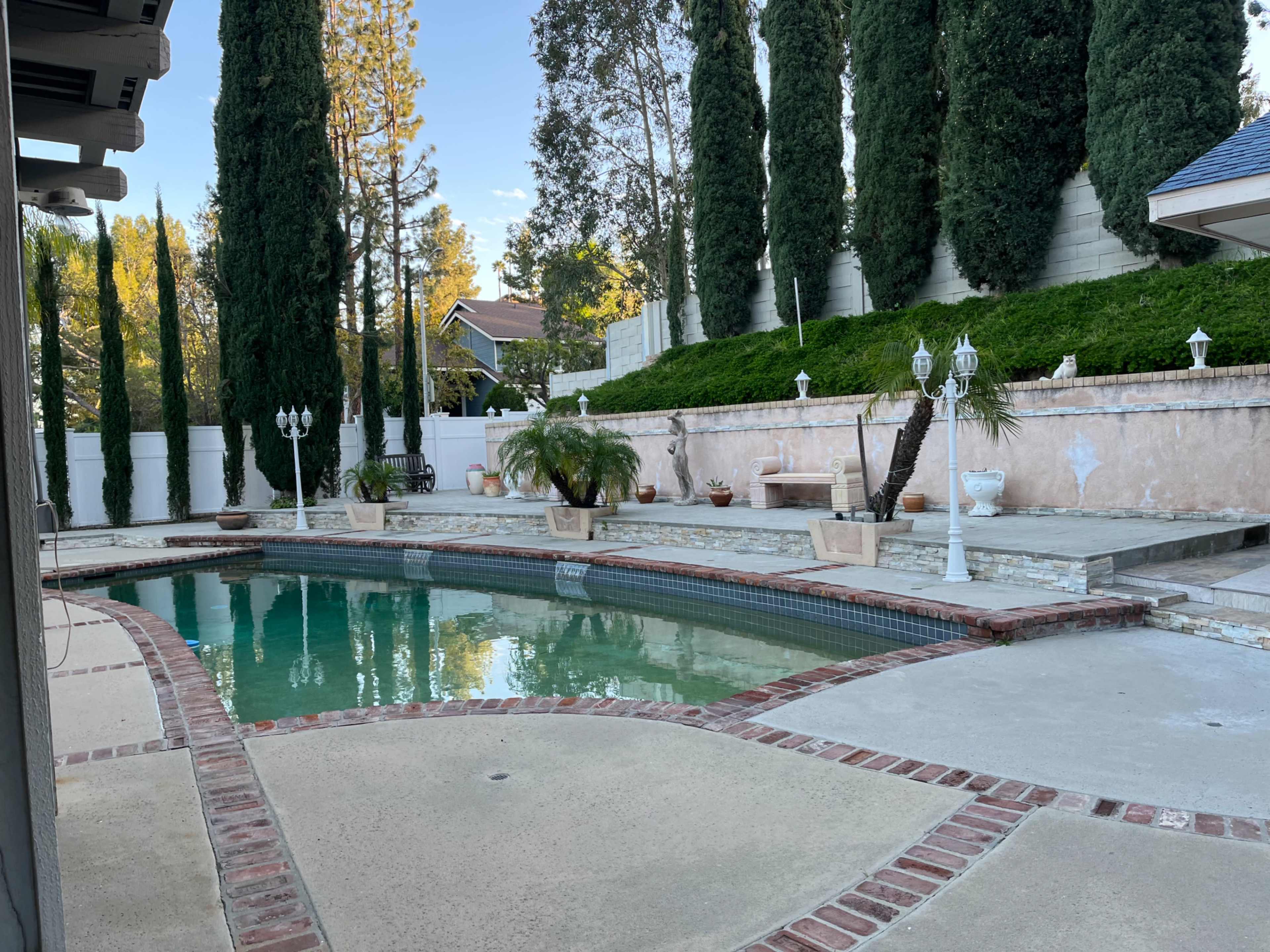A rectangular pool surrounded by a patio, with tall trees and potted plants in the background.