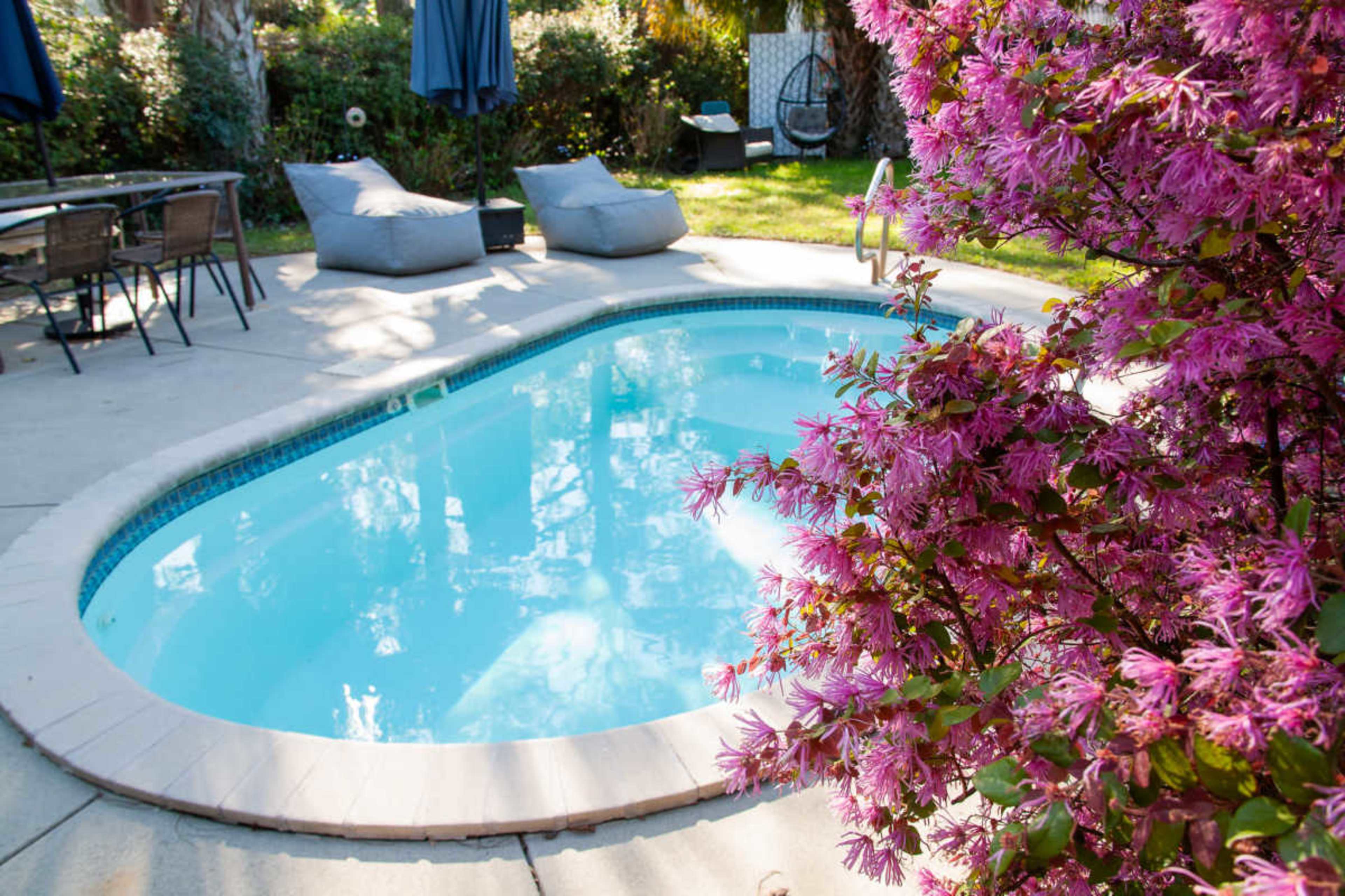A blue, kidney-shaped swimming pool is surrounded by green grass and vibrant pink flowers, with seating areas and umbrellas in the background.