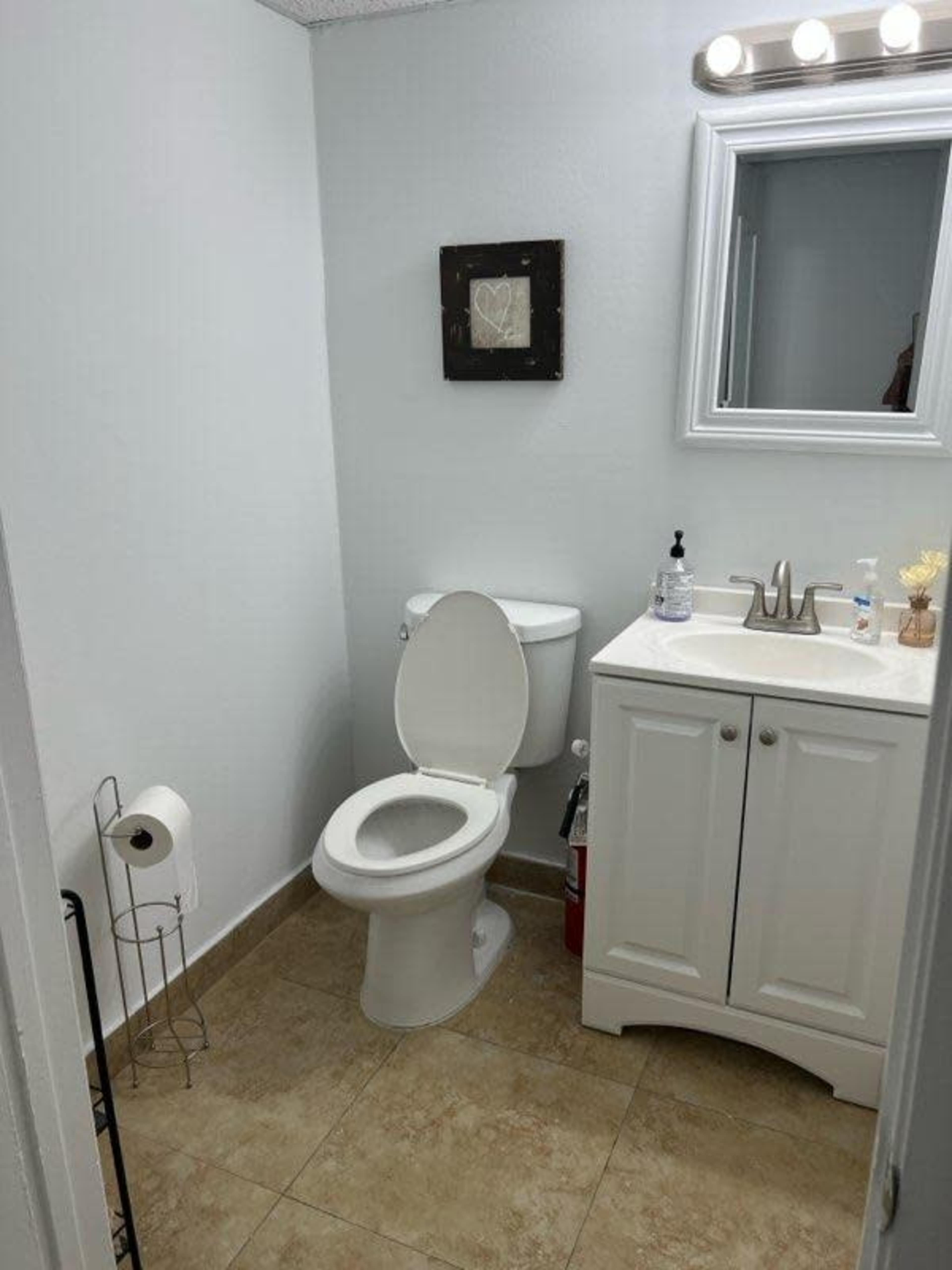The image shows a small bathroom with a toilet, a sink, a mirror, and a cabinet beneath the sink.