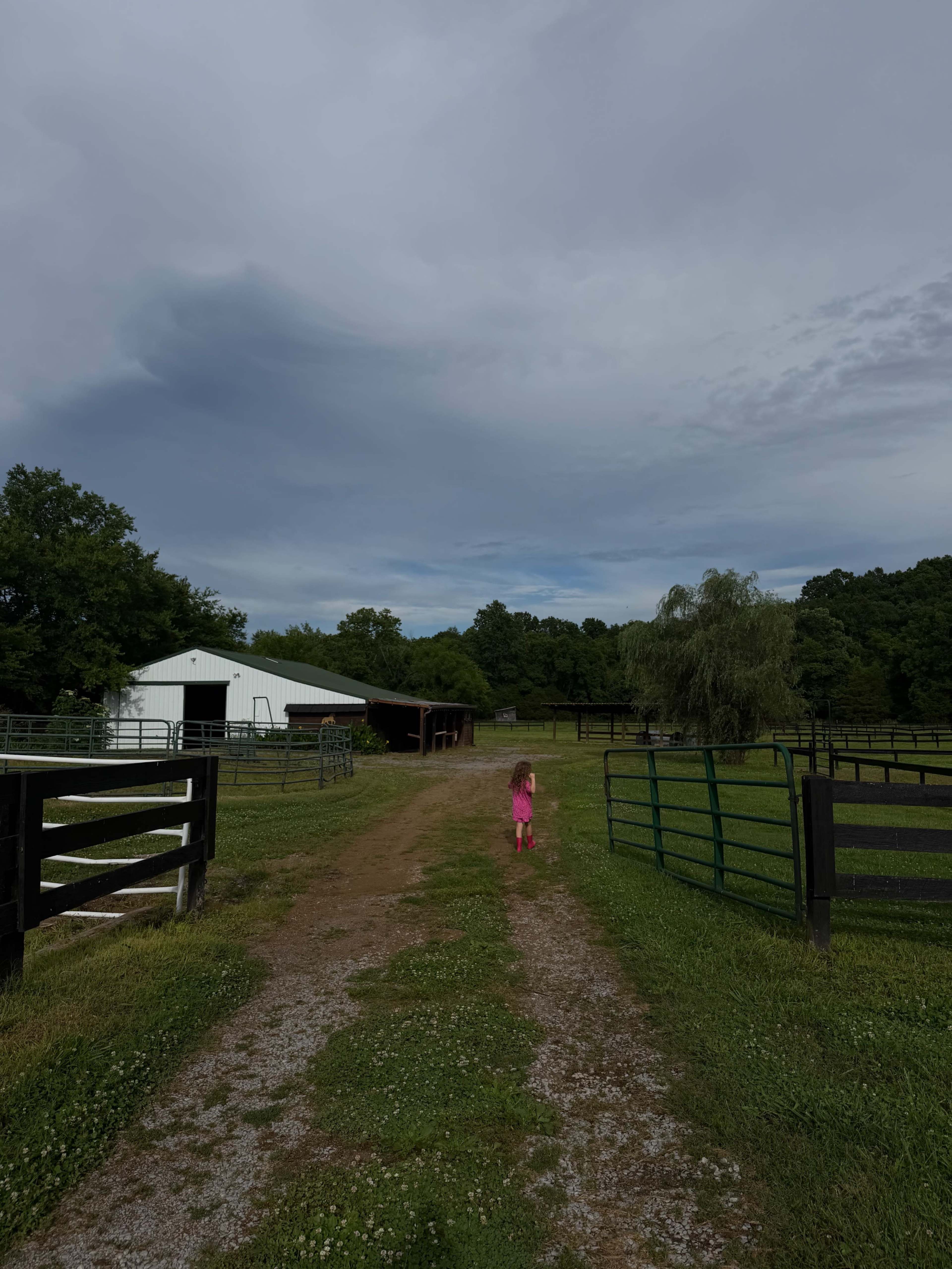 Creekside Animal Farm with Stunning Light Image in , Franklin, TN