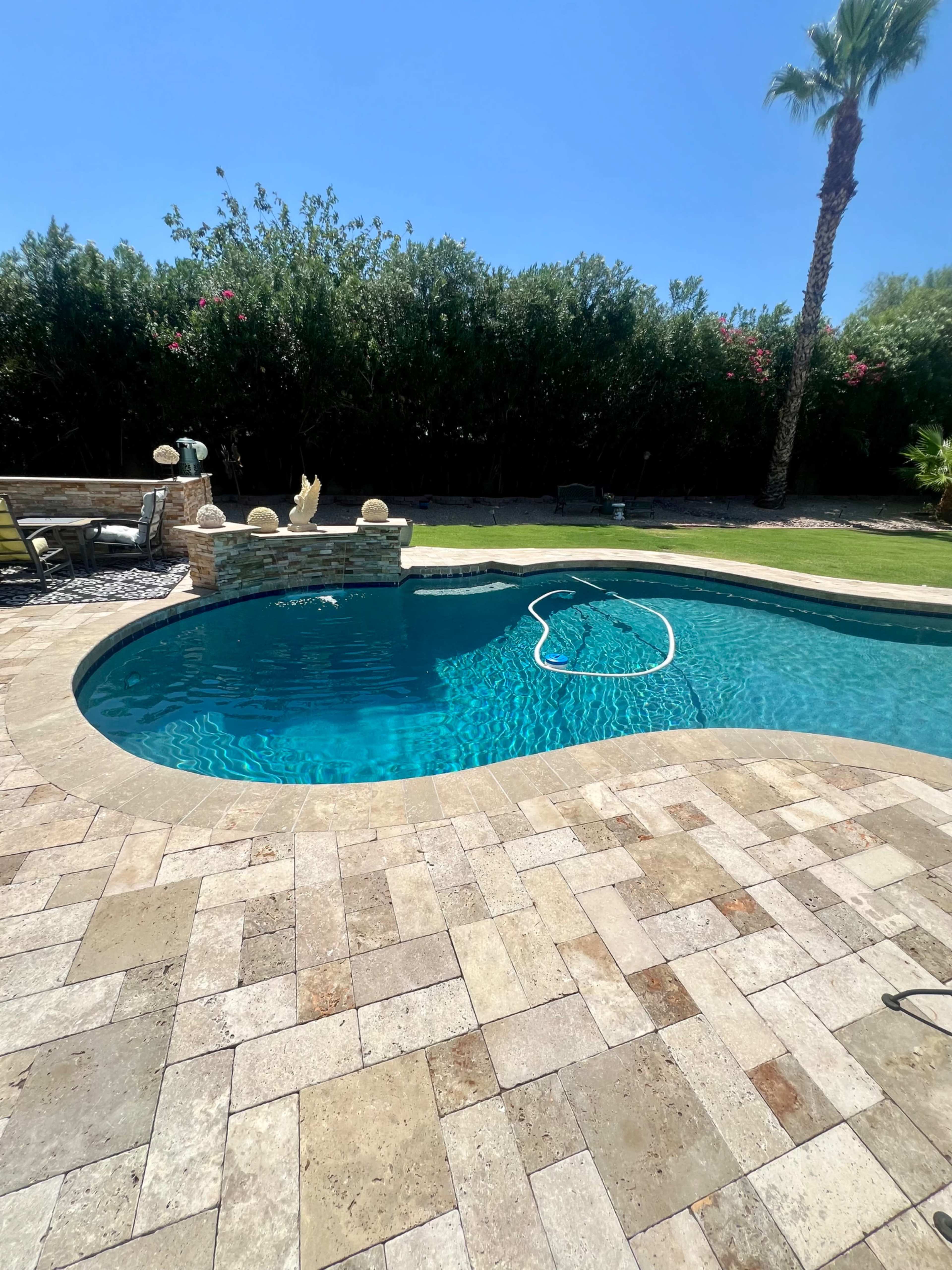 A curved swimming pool with a stone deck is surrounded by greenery and palm trees under a clear blue sky.