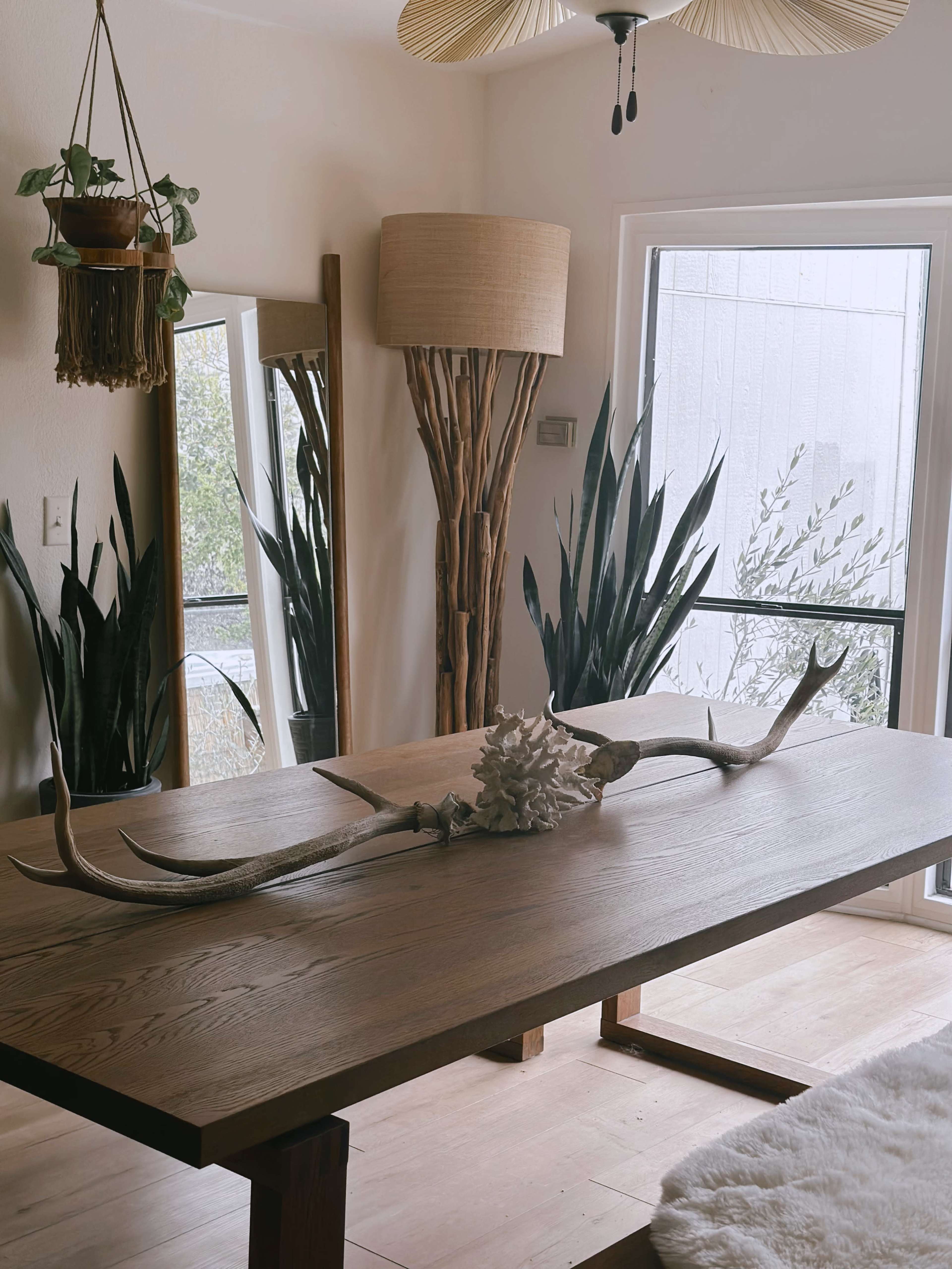 A wooden dining table features a decorative centerpiece of antlers and a shell, surrounded by indoor plants and large windows.