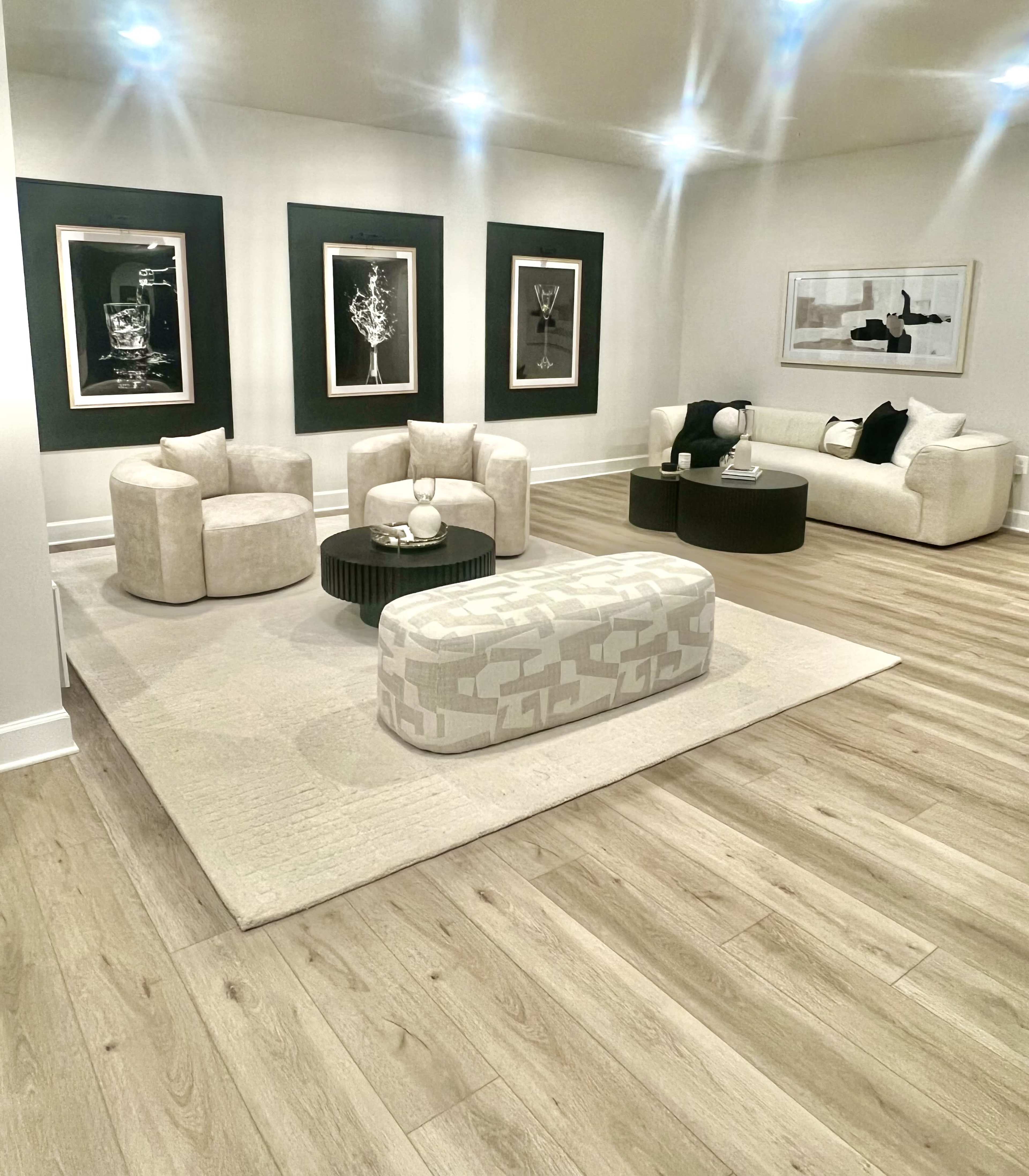 Modern Luxury Basement Lounge with Sleek Wine Room Image in Greater Upper Marlboro, Bowie, MD