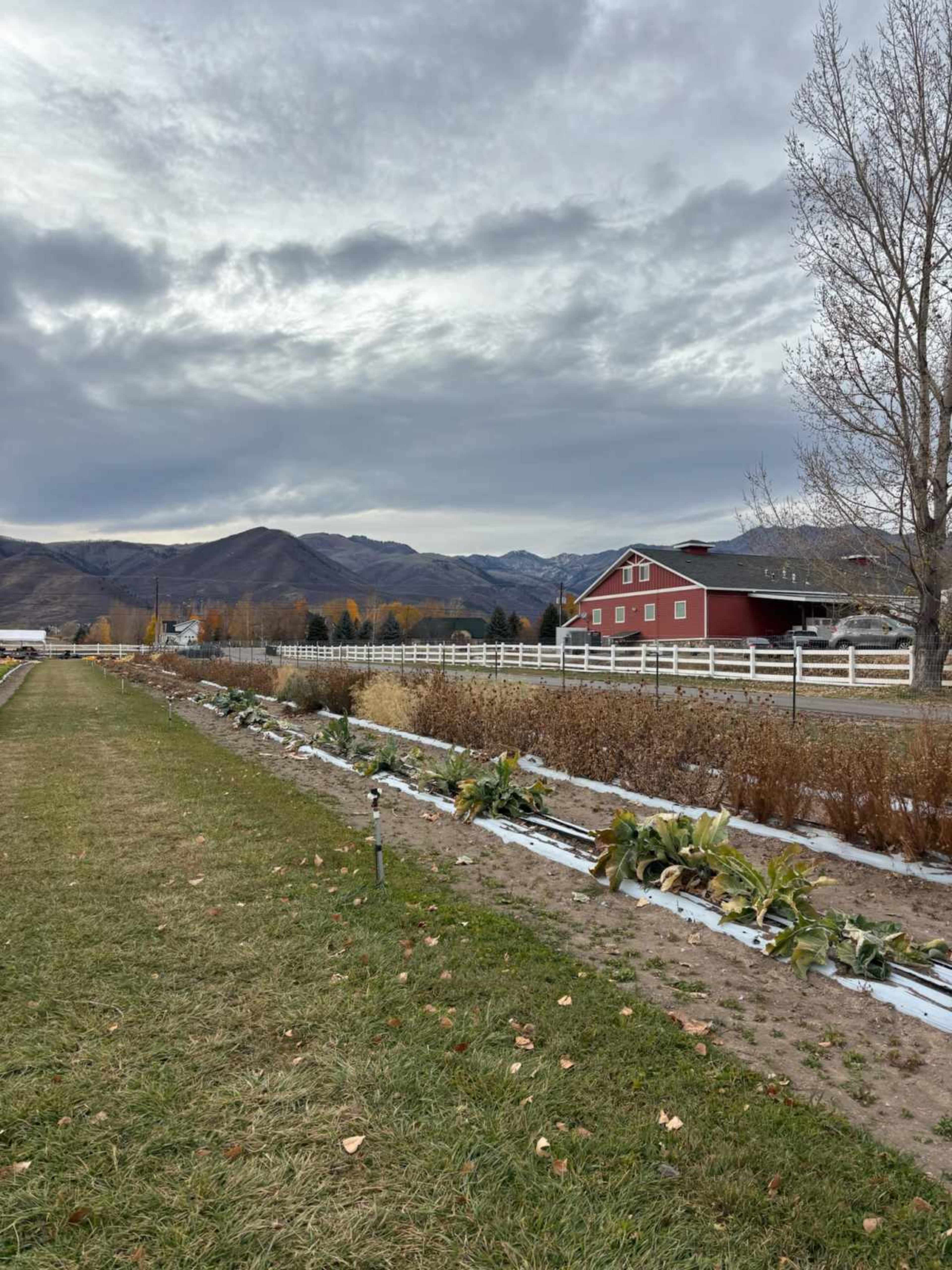 The image shows a rural landscape with a farm fence, a red barn, and rows of vegetables in a garden, set against a backdrop of mountains and a cloudy sky.