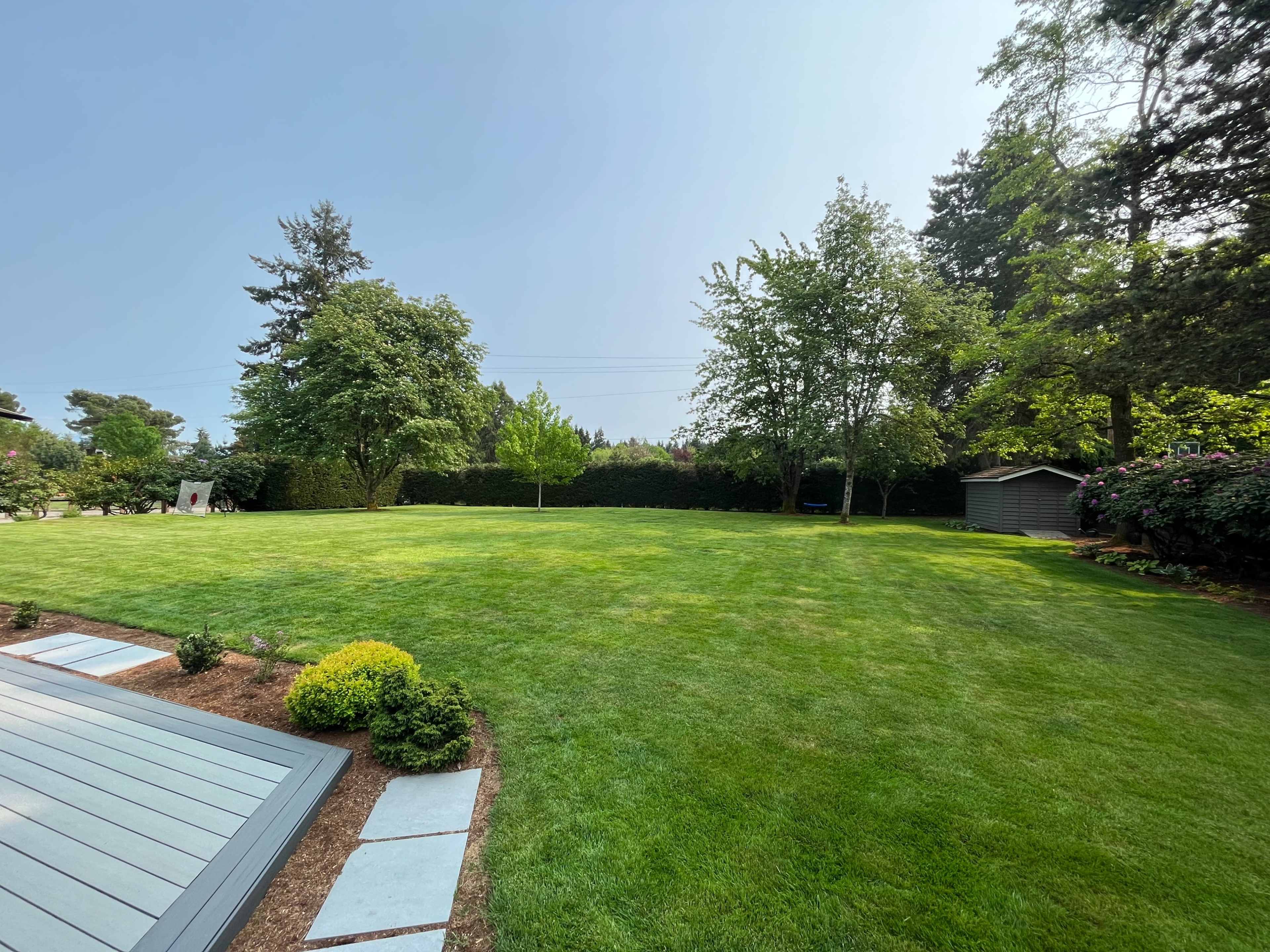 A well-maintained green lawn surrounded by trees and a garden shed in the background.