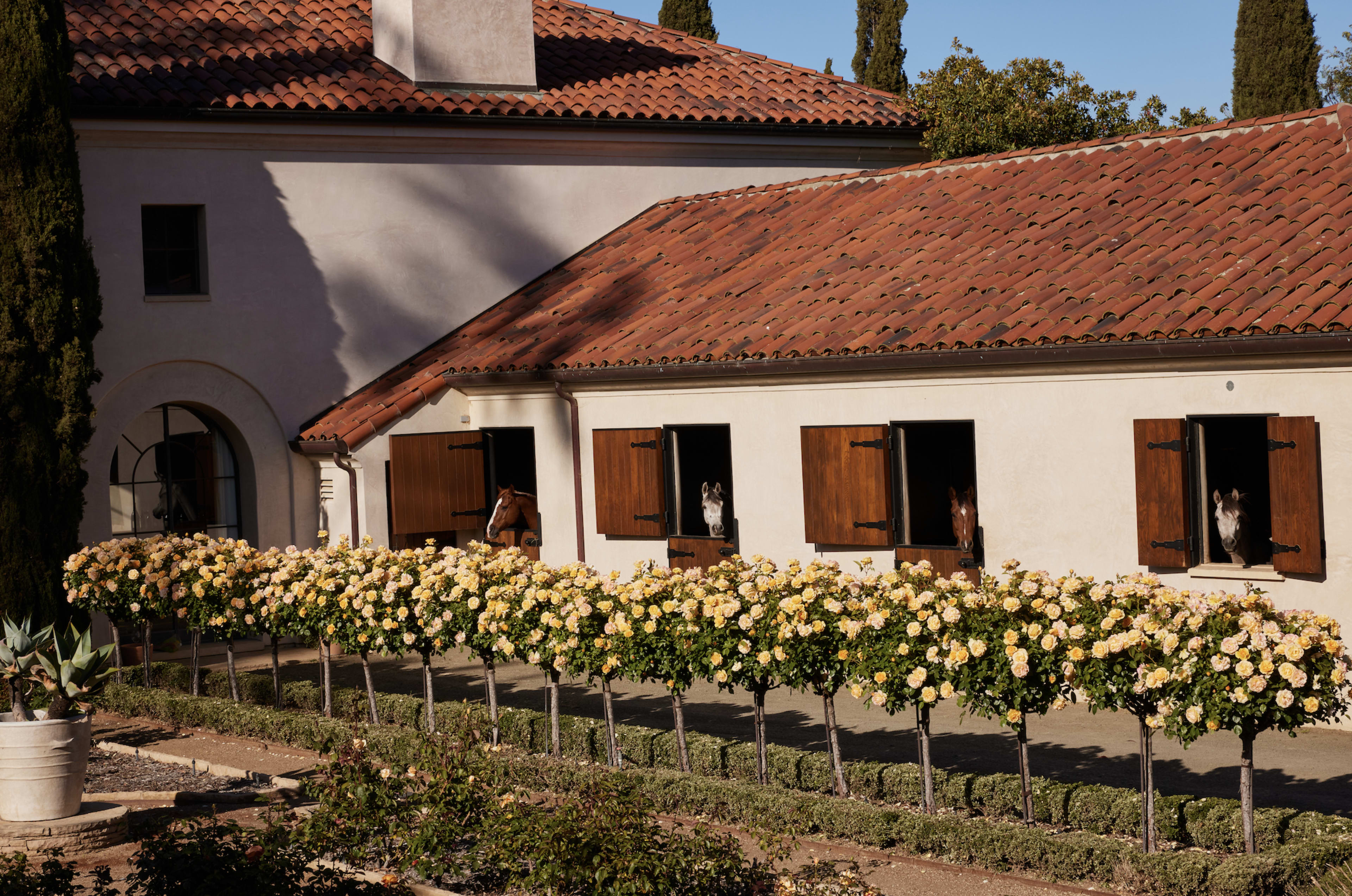 100-Acre Vineyard with Rustic Ranch Backdrops Image in , Lompoc, CA