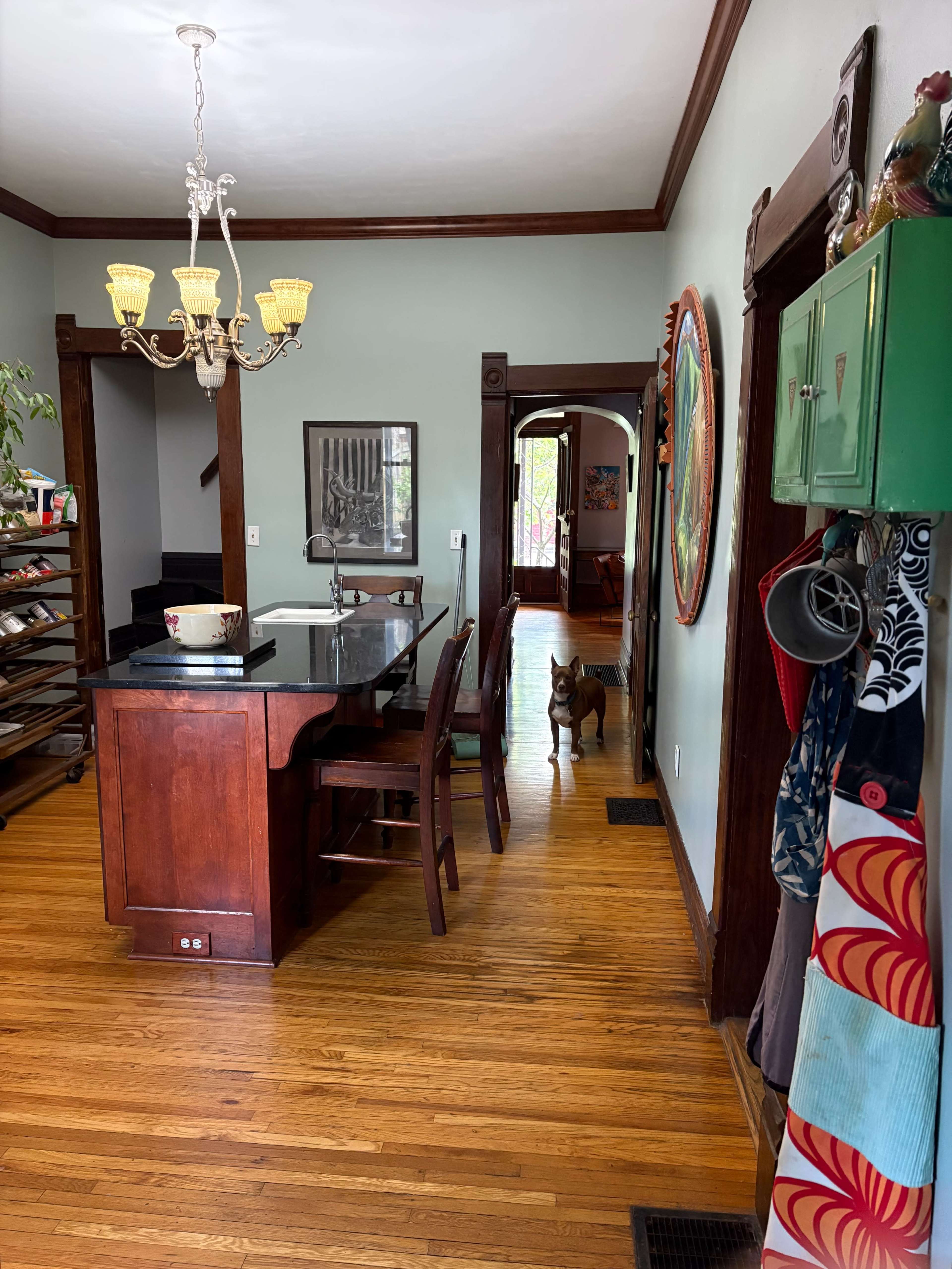 A kitchen area with a central island, wooden floors, a chandelier, and a dog walking through a doorway.