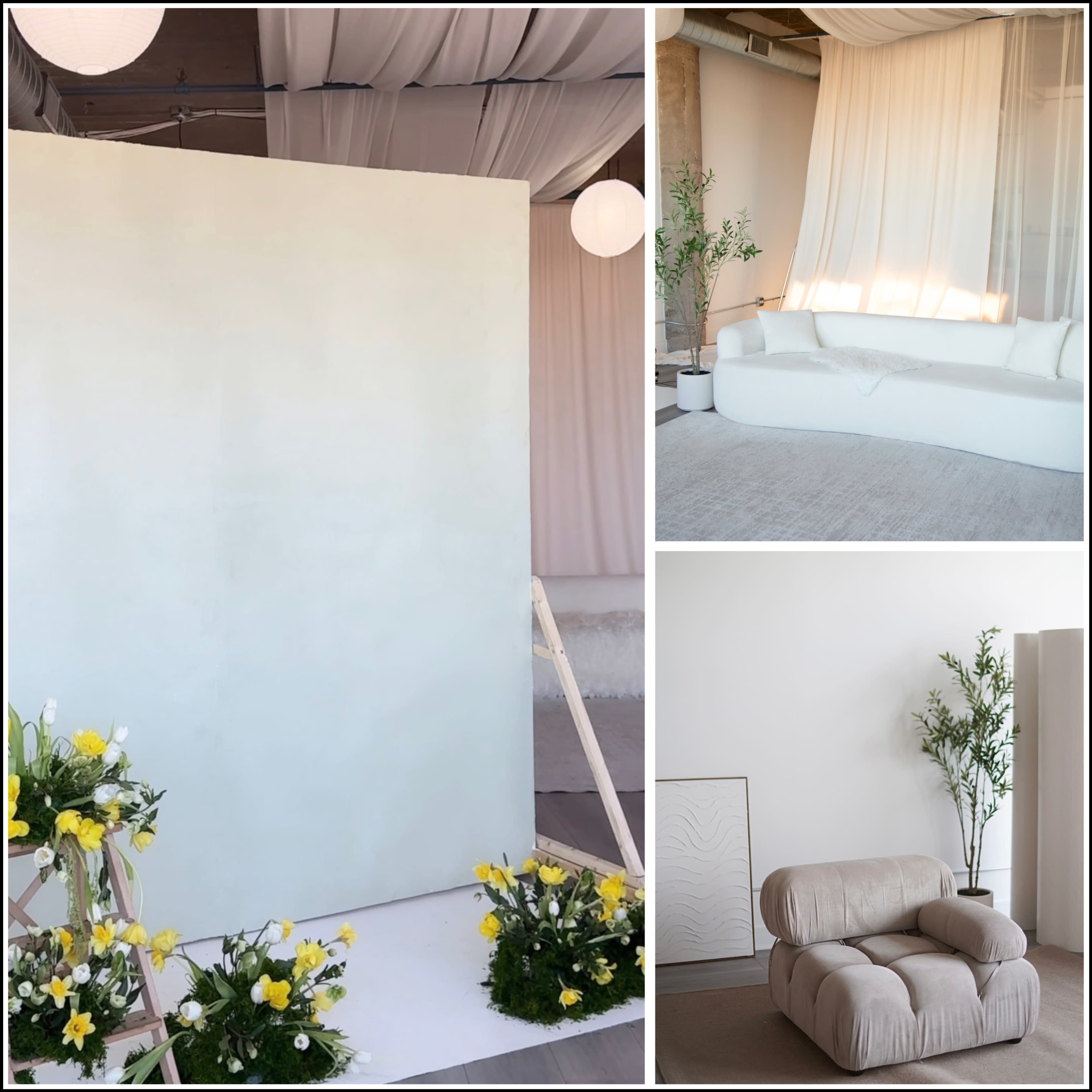 The image features a minimalistic interior space with a neutral backdrop, decorative flowers, a modern curved couch, and sheer curtains.