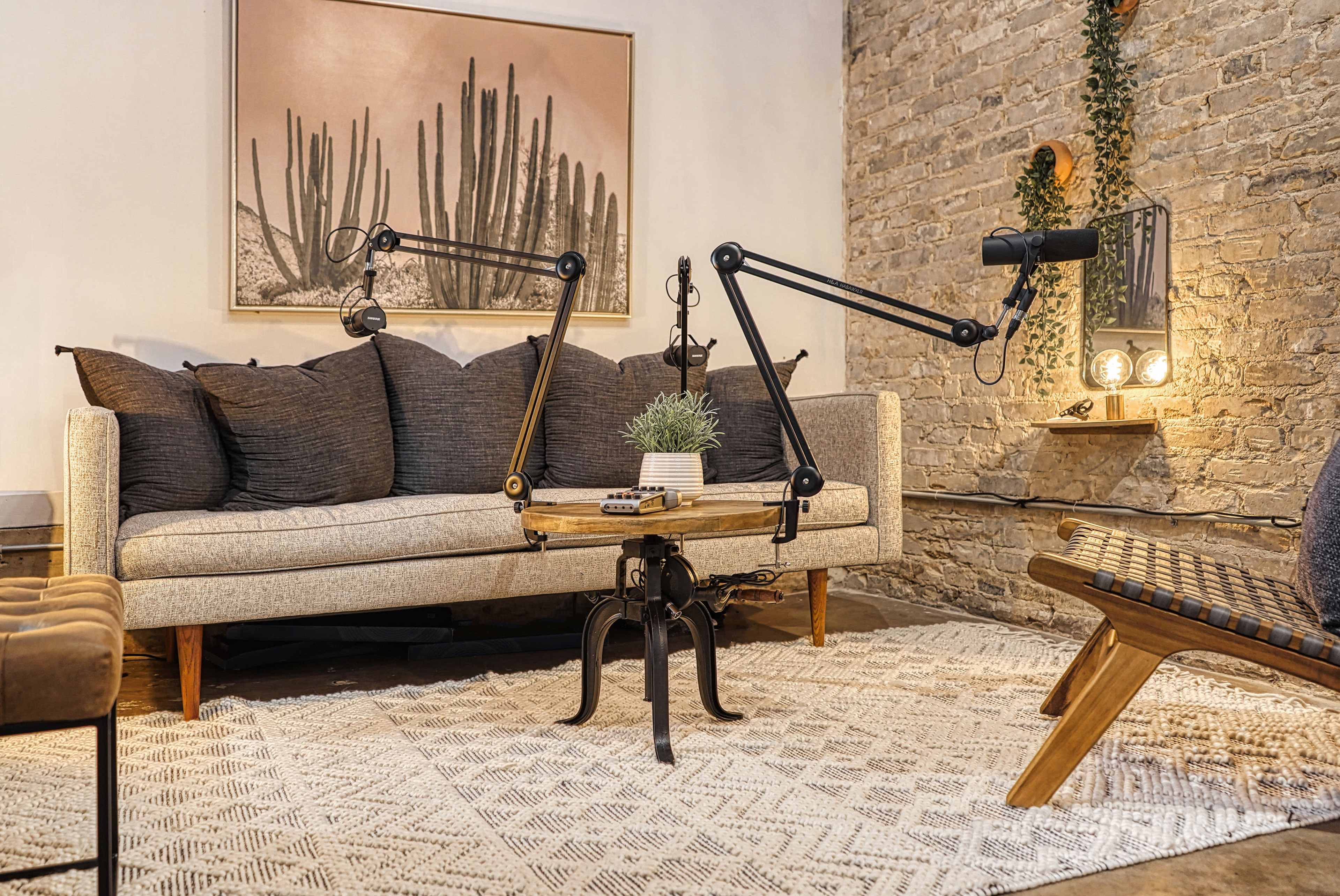 A modern living room features a sofa with dark cushions, a wooden coffee table, and two adjustable microphones set up for recording, against a backdrop of a stone wall and decorative plants.