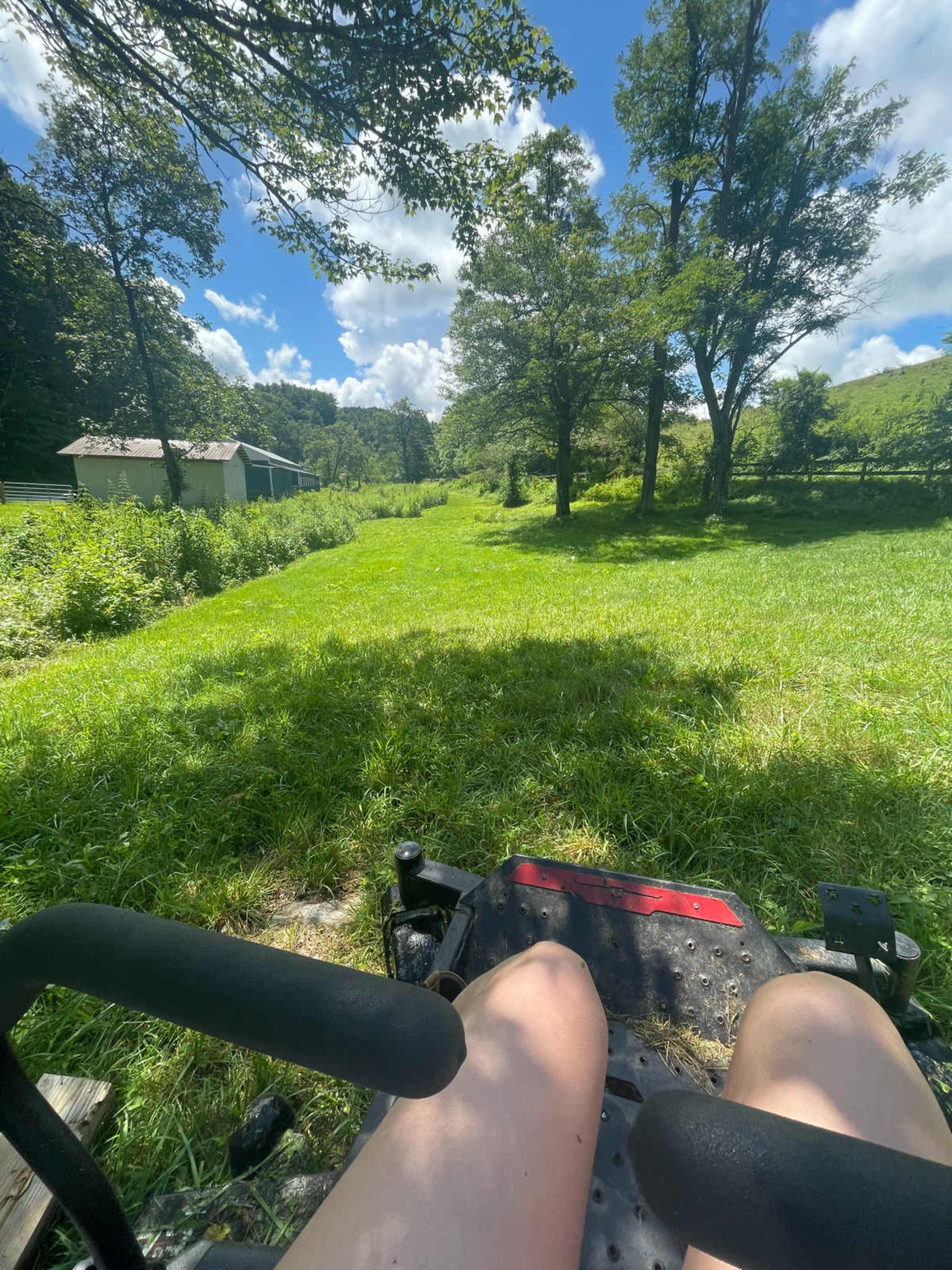 Pastoral Acreage with Creek, Barn, Pond, Waterfall Image in , Scaly Mountain, NC