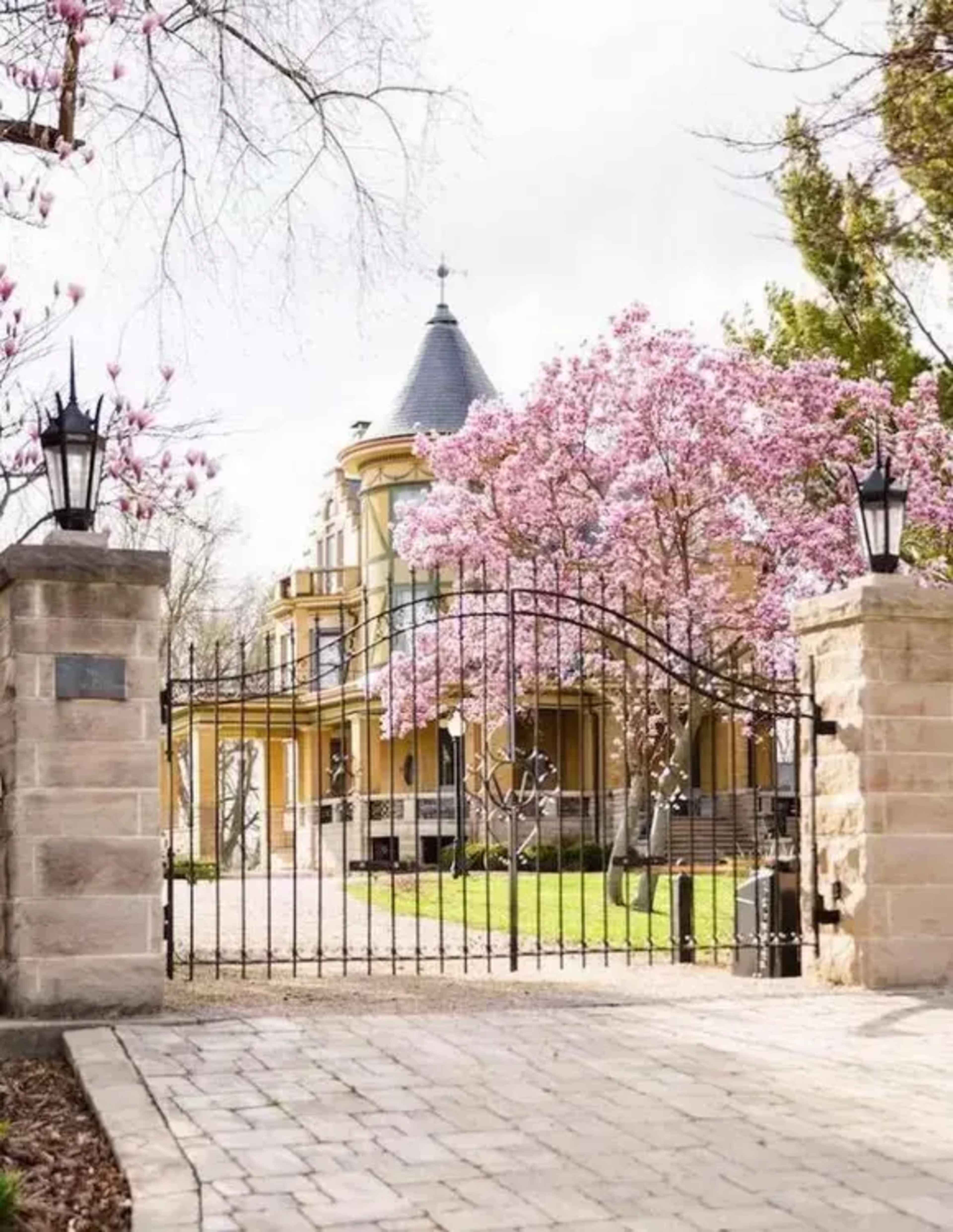 A large, historic house with a turret is framed by blooming pink cherry blossom trees and an ornate iron gate.