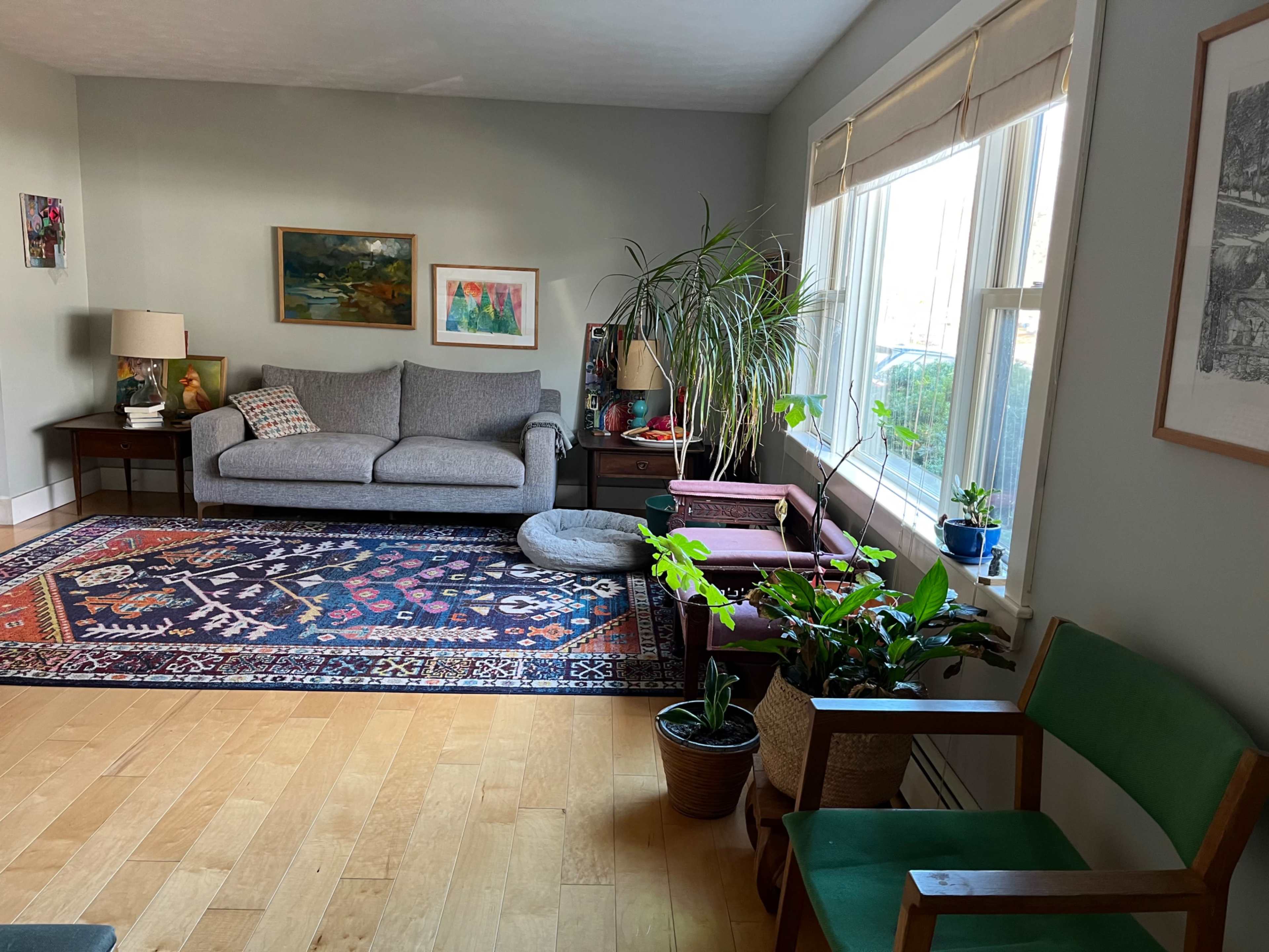 Suburban house for the everyday person Image in New North End, Burlington, VT