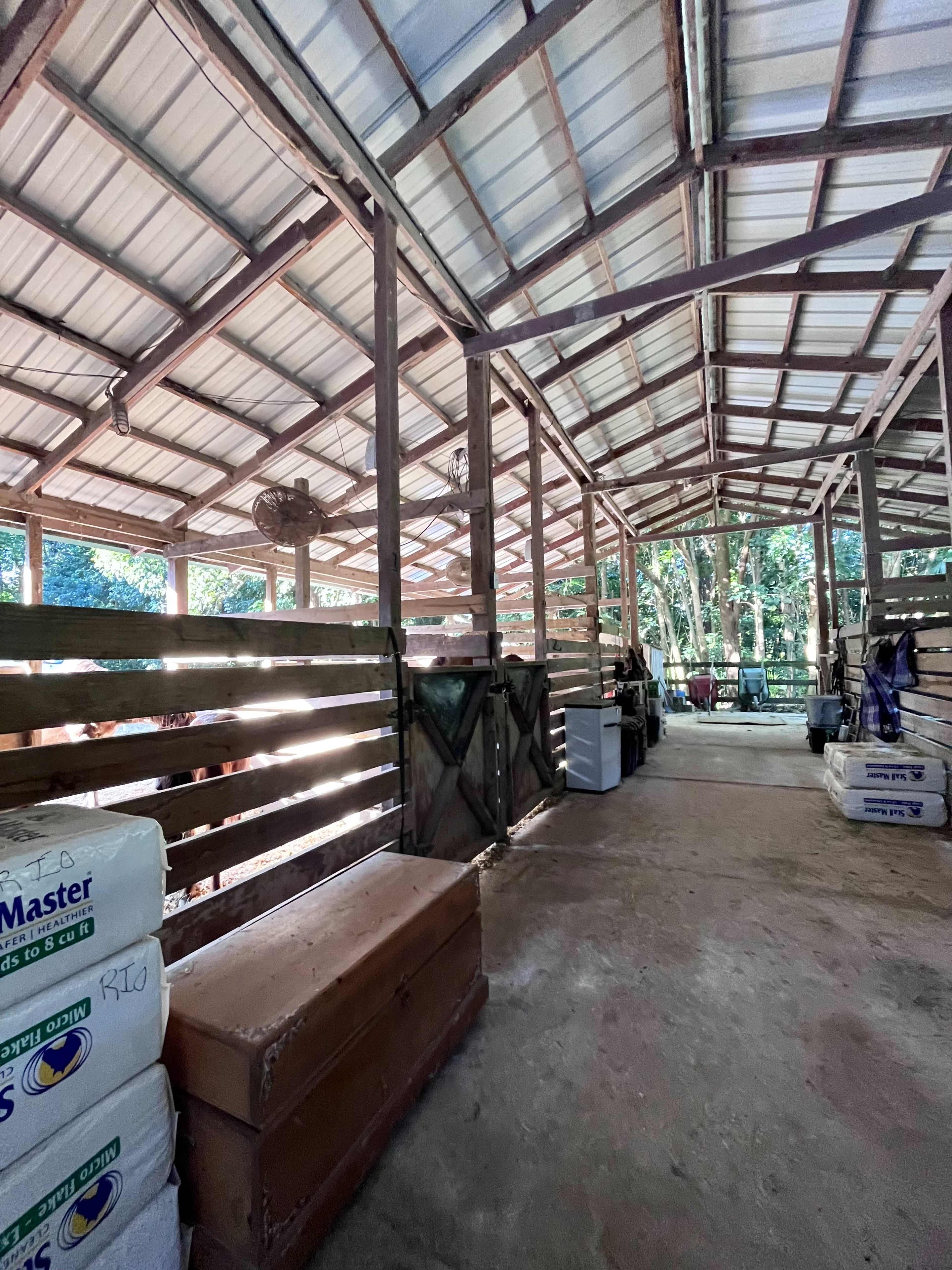 Rustic Barn with Horses Onsite Image in Davie, Davie, FL