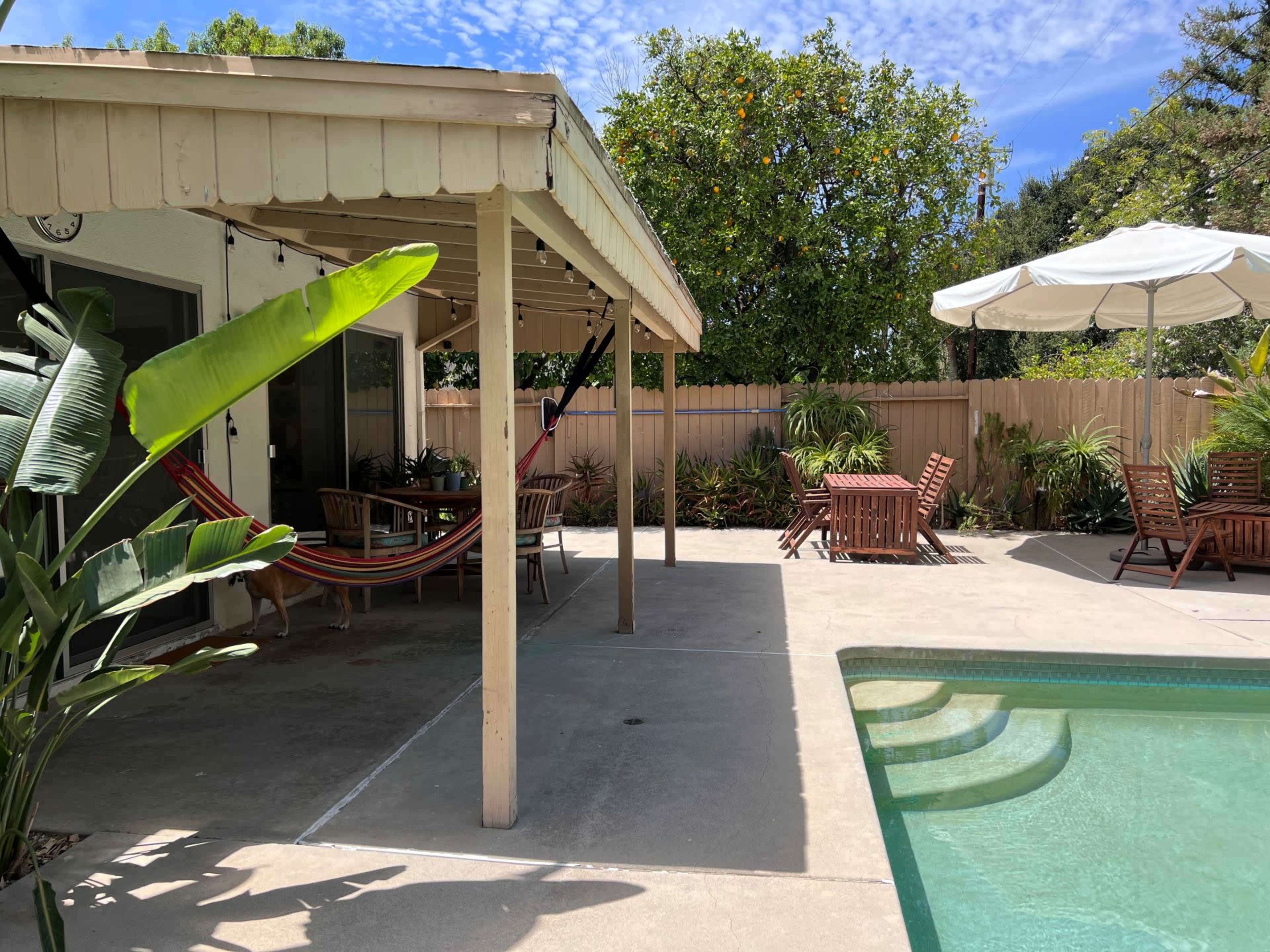 A backyard features a pool, a covered seating area with a hammock, and several lounge chairs surrounded by greenery.