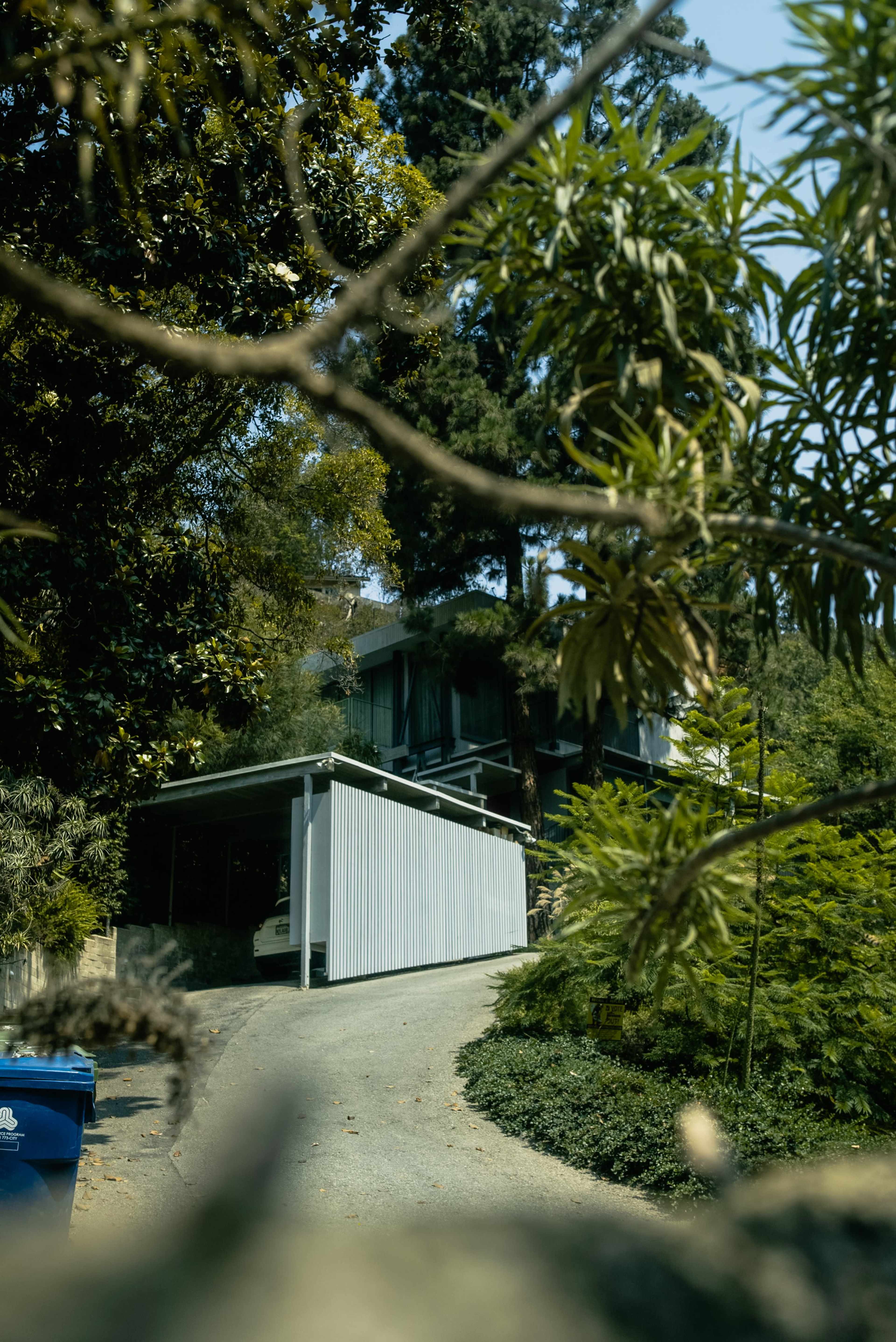 A white house with a carport sits at the end of a winding driveway, surrounded by trees and greenery.