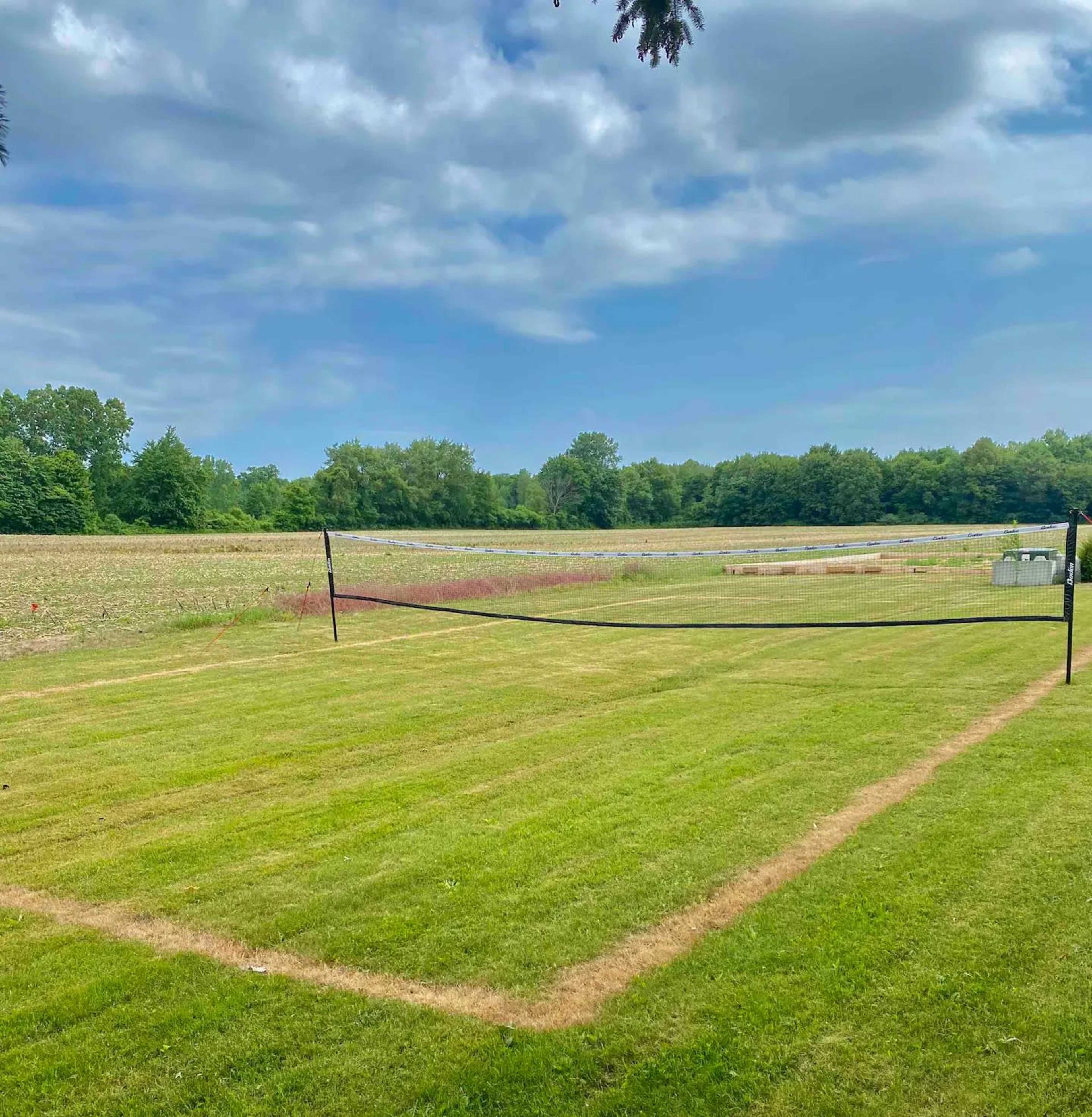 A grassy field with a volleyball net set up in the foreground and a tree line in the background.
