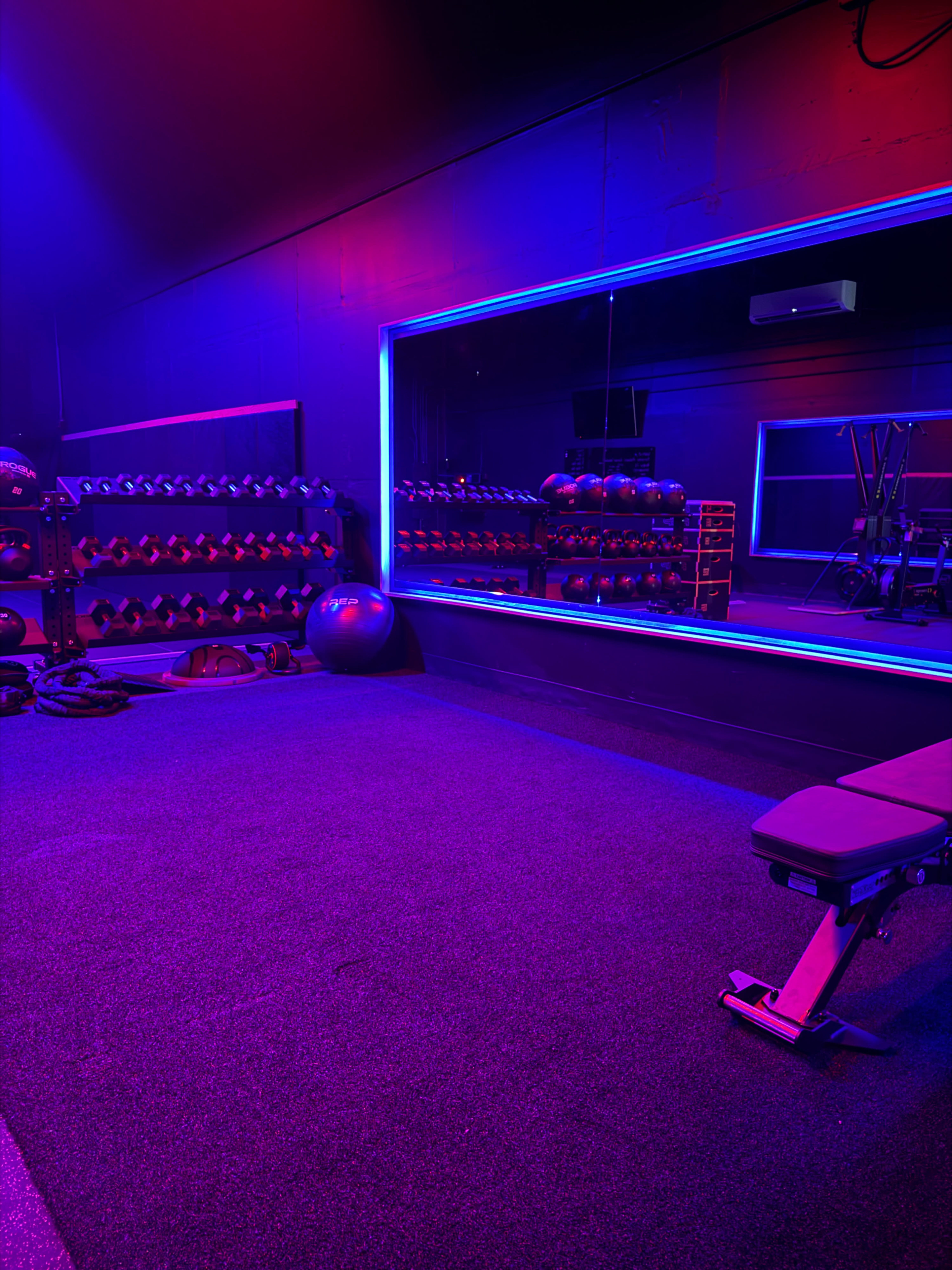 The image shows a dimly lit gym with colorful lighting, featuring a mirror, weights on racks, and a bench in the foreground.