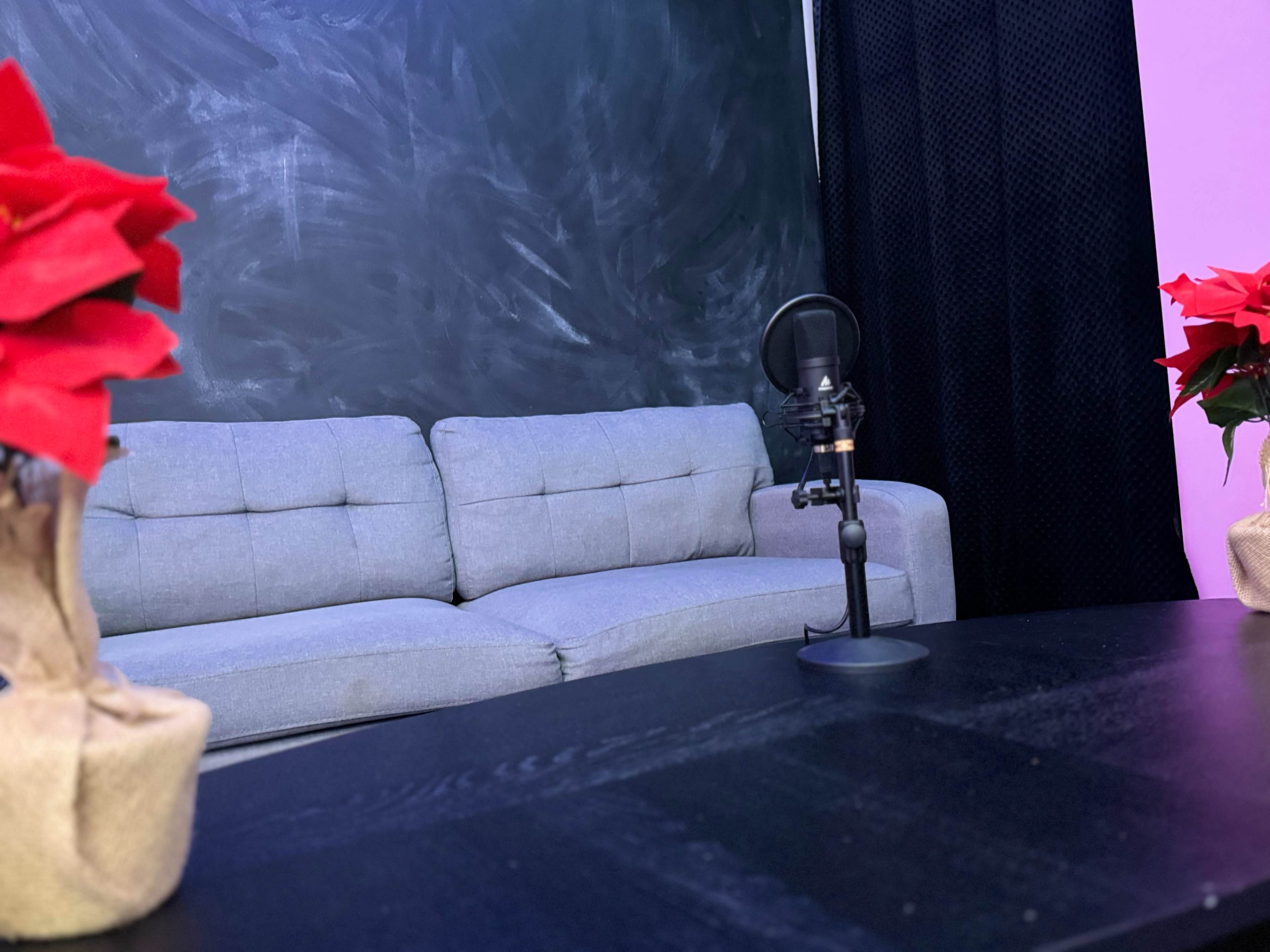 A gray sofa is positioned in front of a dark chalkboard wall, with two potted red plants on a black table and a microphone set up nearby.