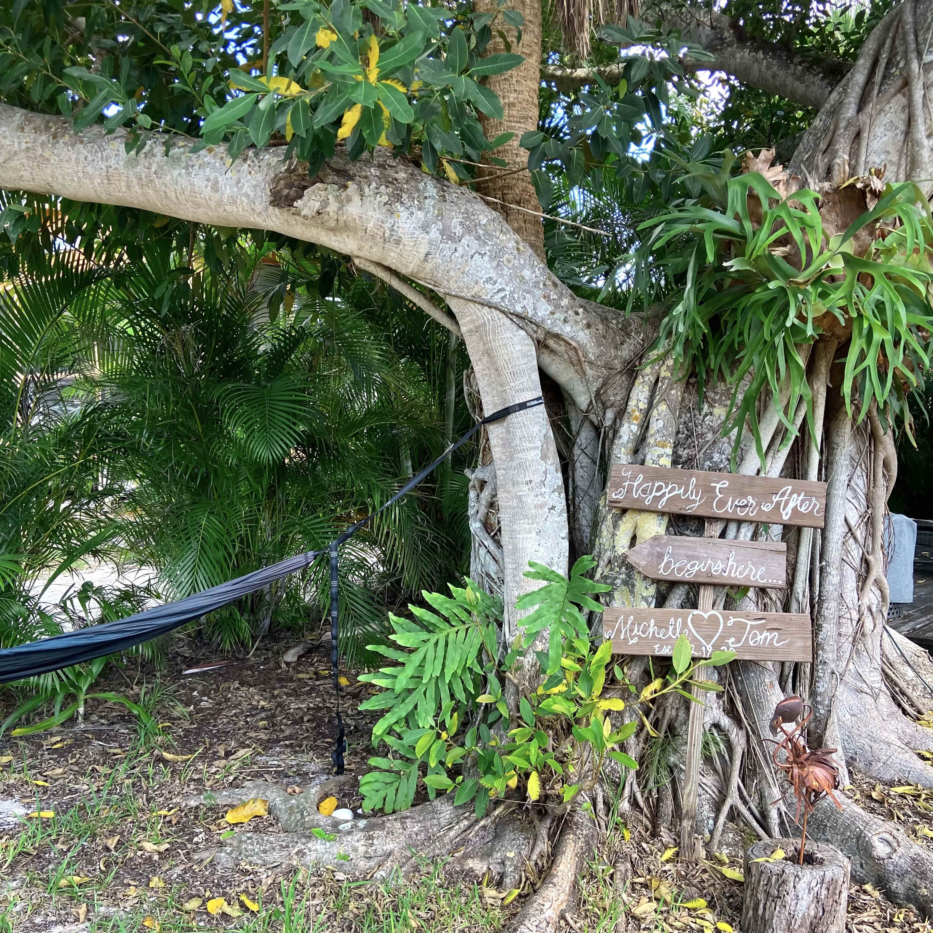 A hammock is suspended between two large trees adorned with a wooden sign that reads, "Happily Ever After Together, Michelle & Tom," surrounded by lush greenery.