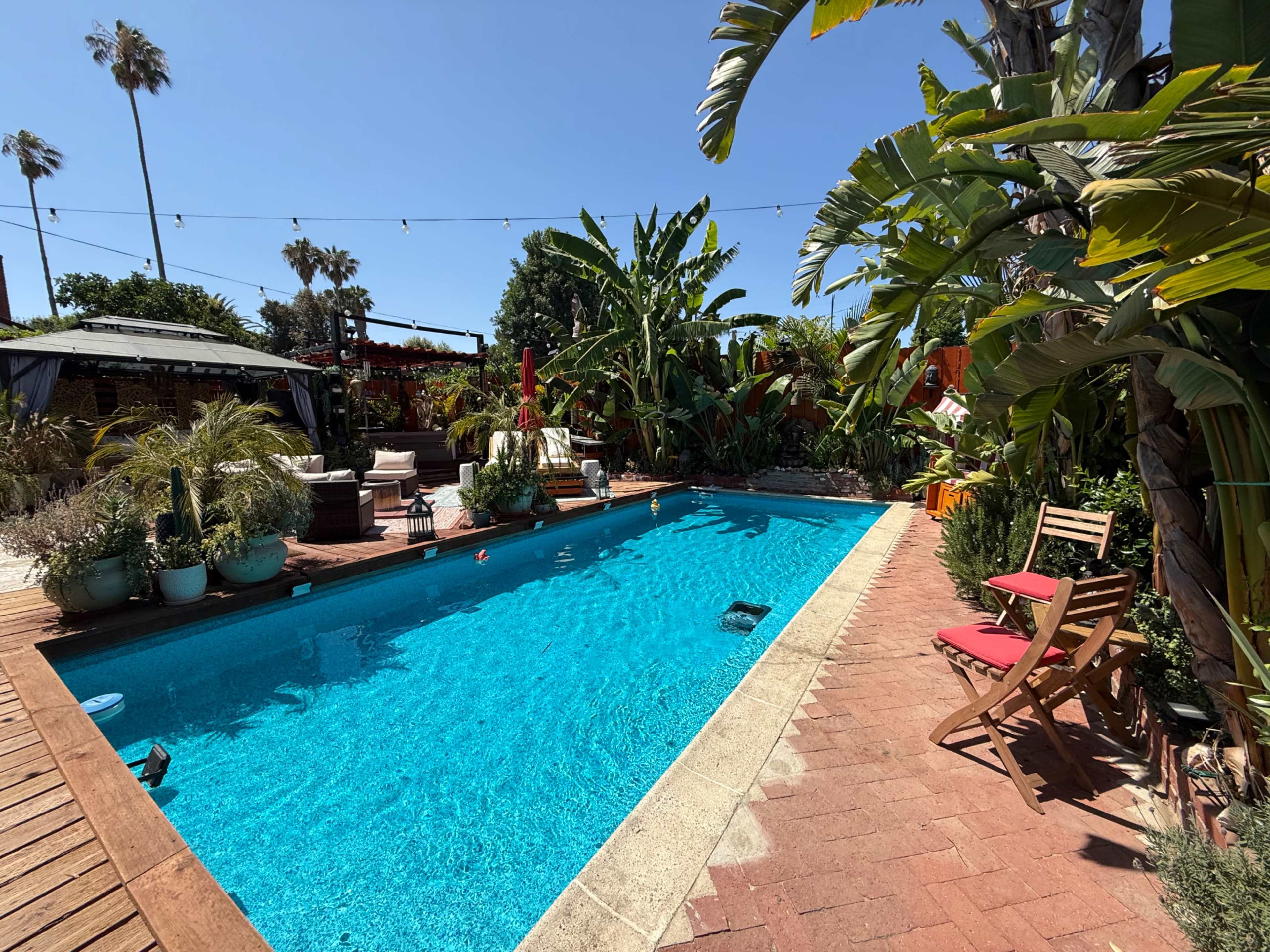 Bohemian Sanctuary Oasis Garden with Pool and Hot Whirl Pool Image in Van Nuys, Van Nuys, CA