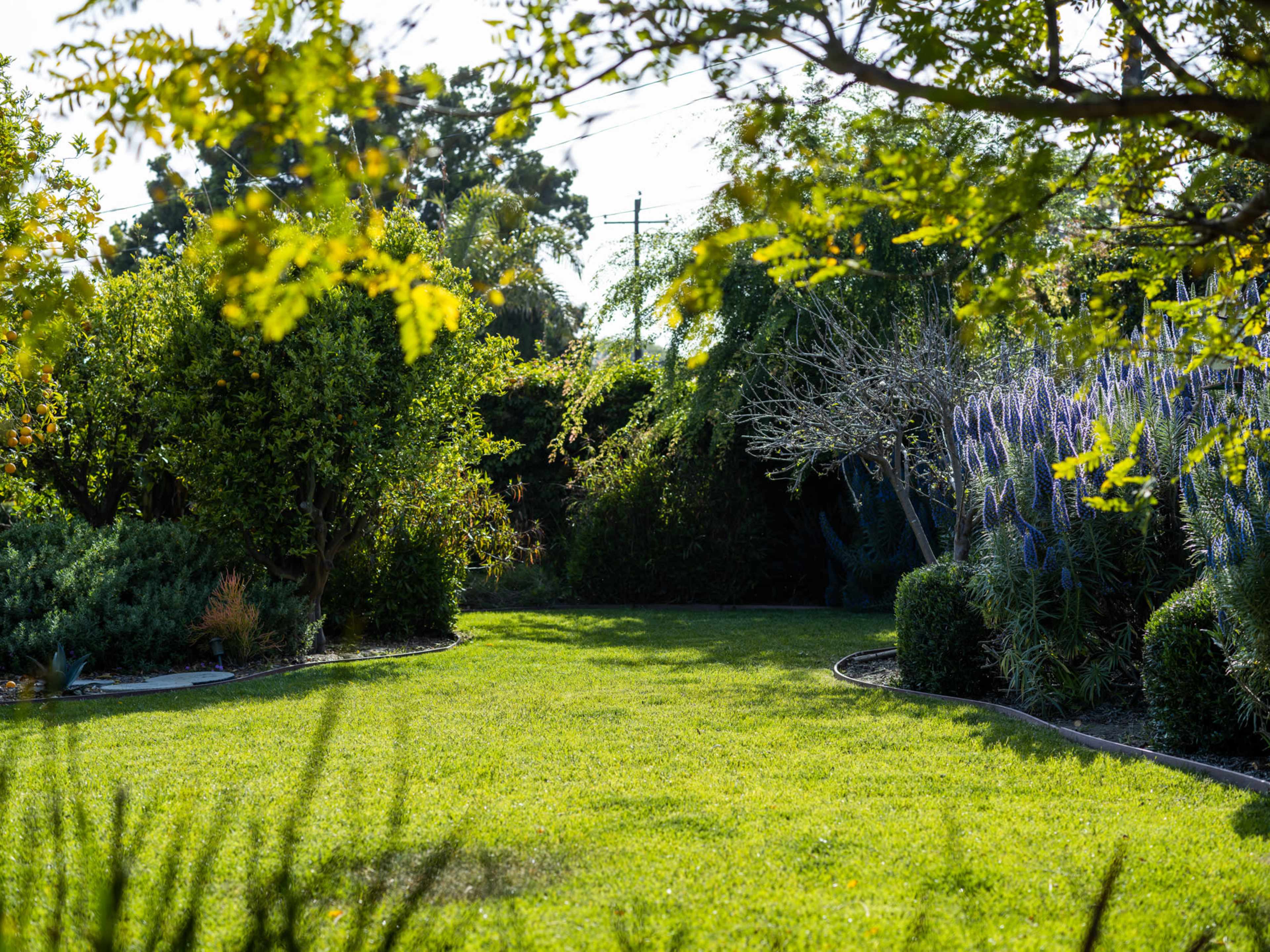 The image shows a green garden with various trees and plants arranged along the edges, leading to an open grassy area in the center.